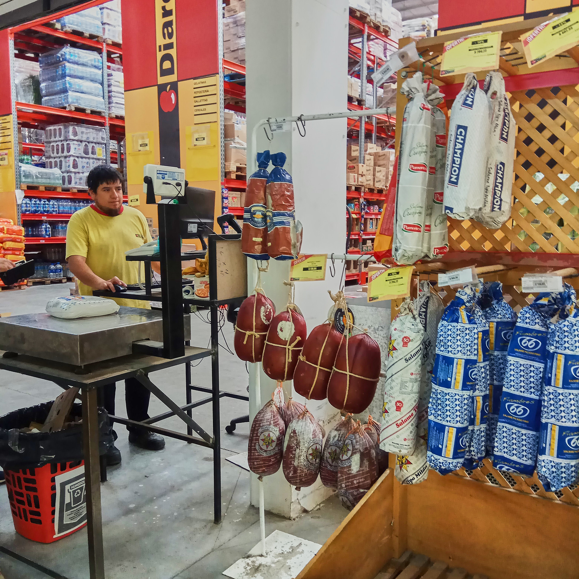 Патагония 2019. Айгуль Лотфуллина. #АйгульТВ. Фотограф в Адлере и Сочи, Красной Поляне