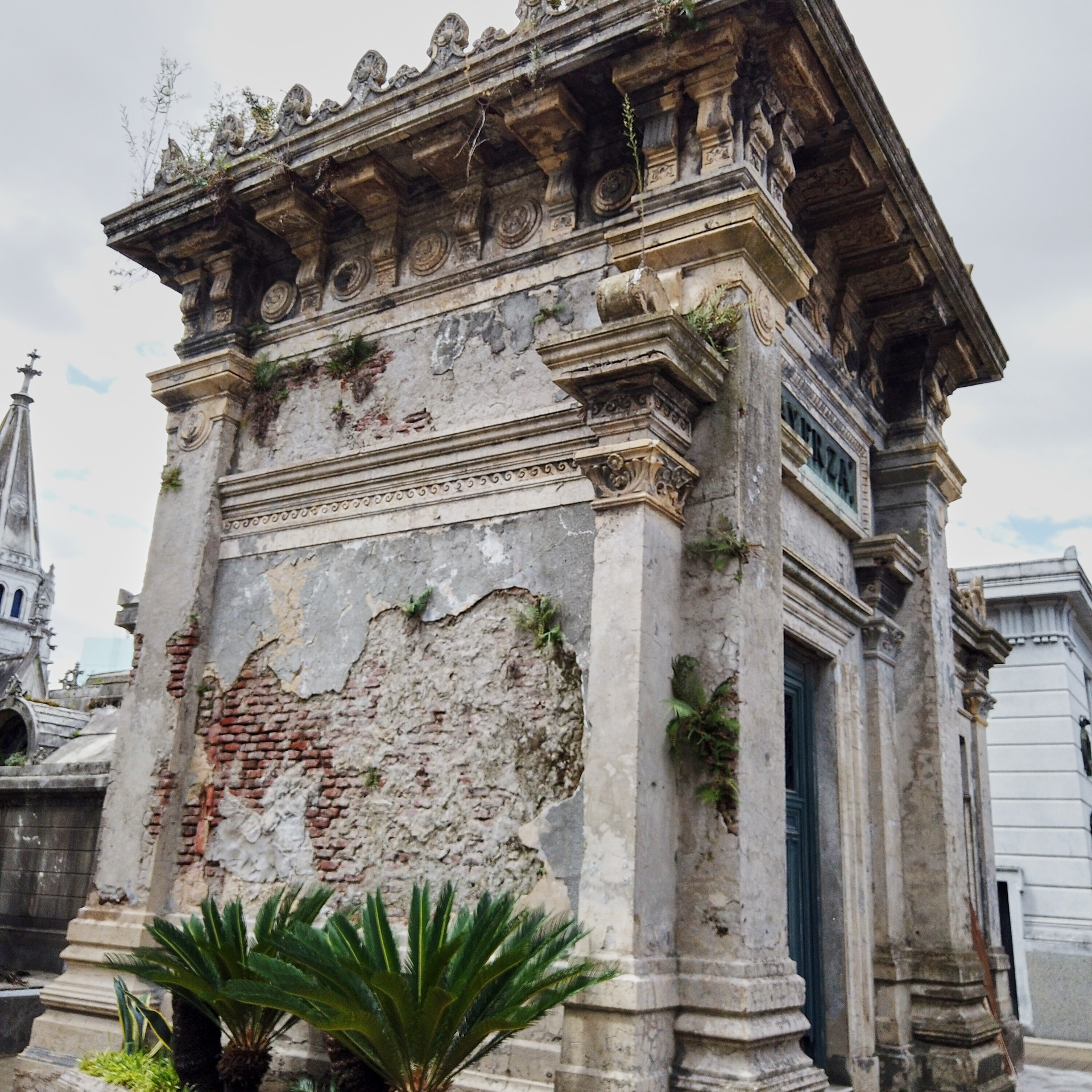 Патагония 2019. Айгуль Лотфуллина. #АйгульТВ. Фотограф в Адлере и Сочи, Красной Поляне