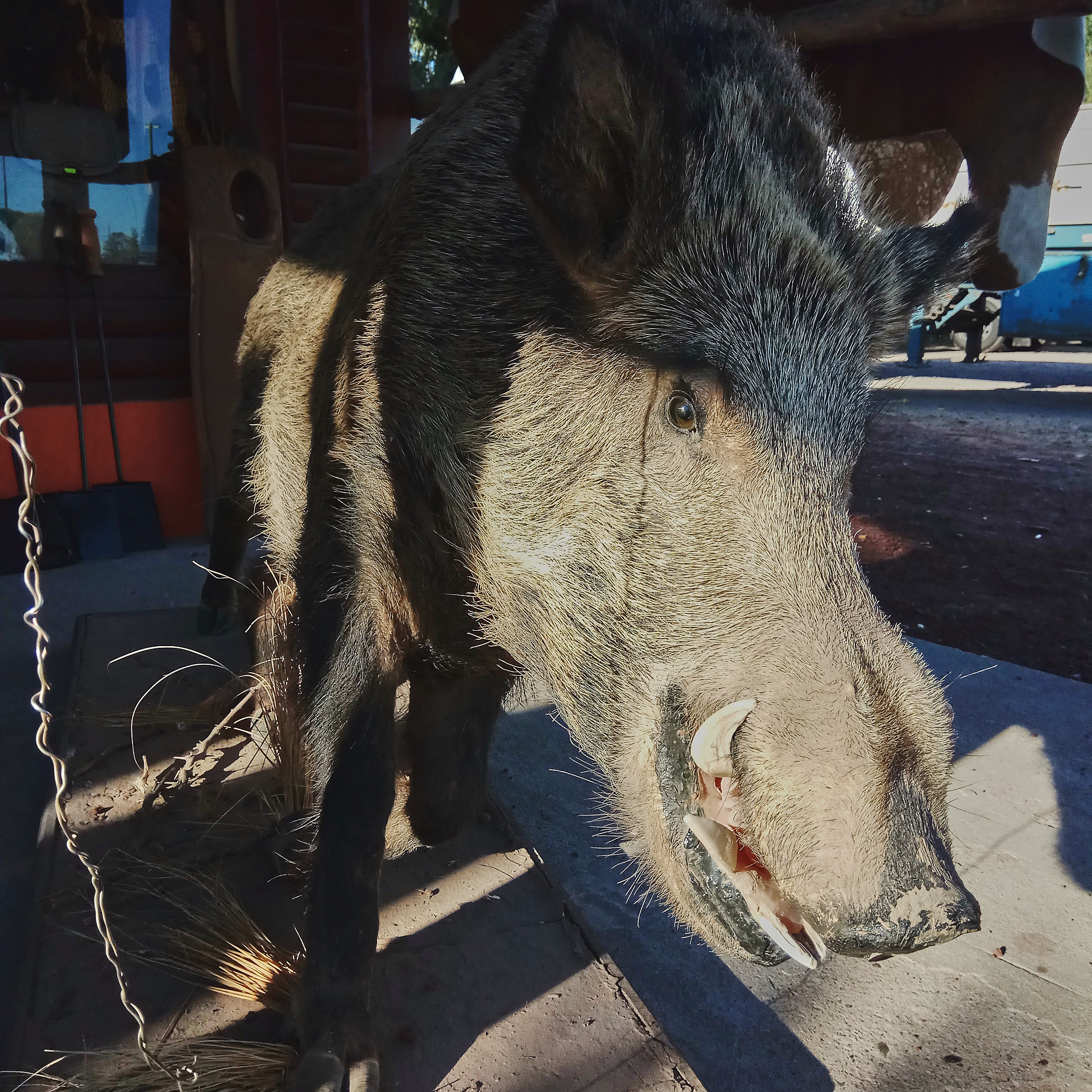 Патагония 2019. Айгуль Лотфуллина. #АйгульТВ. Фотограф в Адлере и Сочи, Красной Поляне