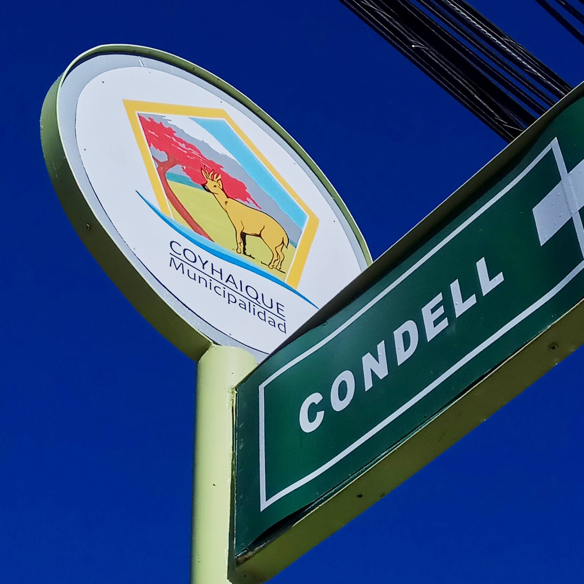 Патагония 2019. Айгуль Лотфуллина. #АйгульТВ. Фотограф в Адлере и Сочи, Красной Поляне