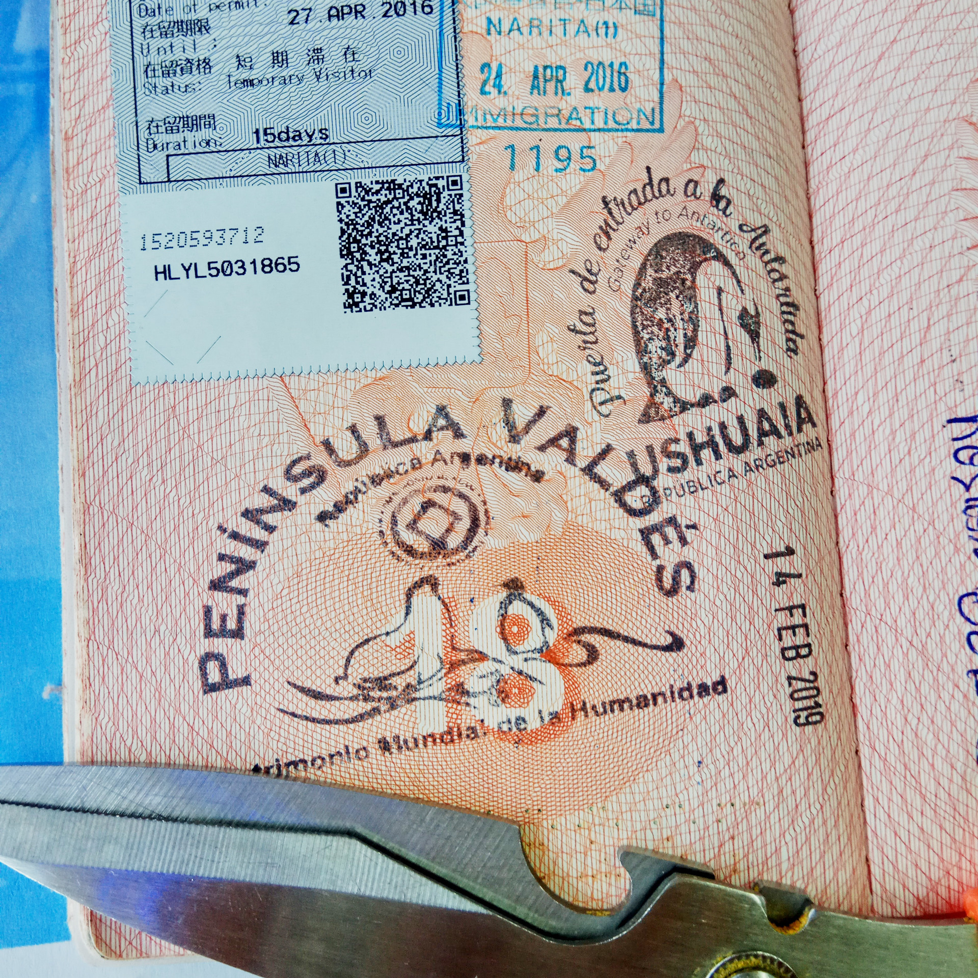 Патагония 2019. Айгуль Лотфуллина. #АйгульТВ. Фотограф в Адлере и Сочи, Красной Поляне