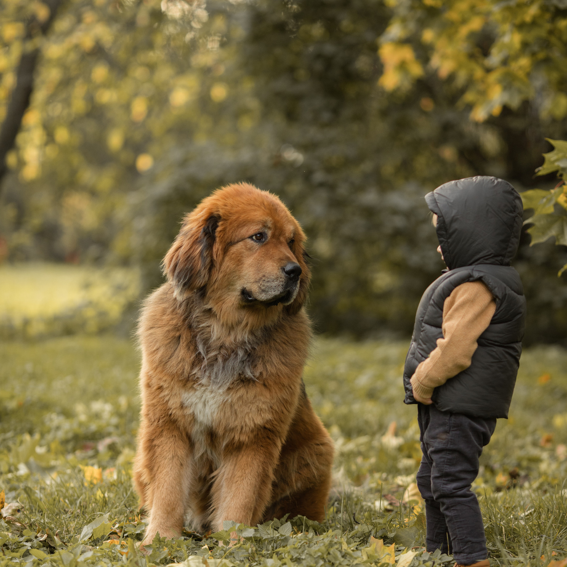 Отзывы о фотографе Олесе Маркиной. Семейный и детский фотограф в Москве Олеся Маркина