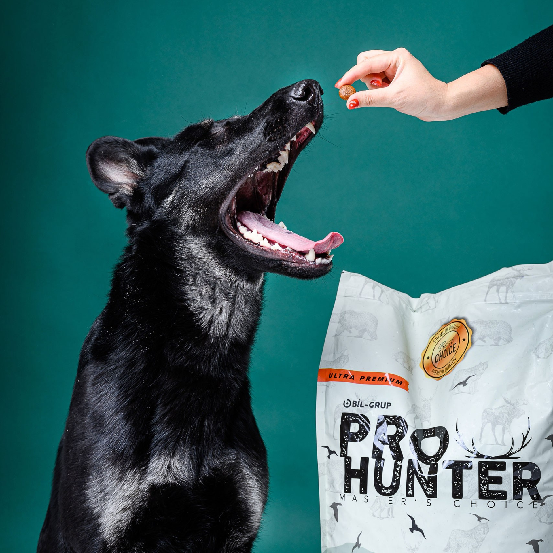 Фотограф Алматы Кирилл Федоров