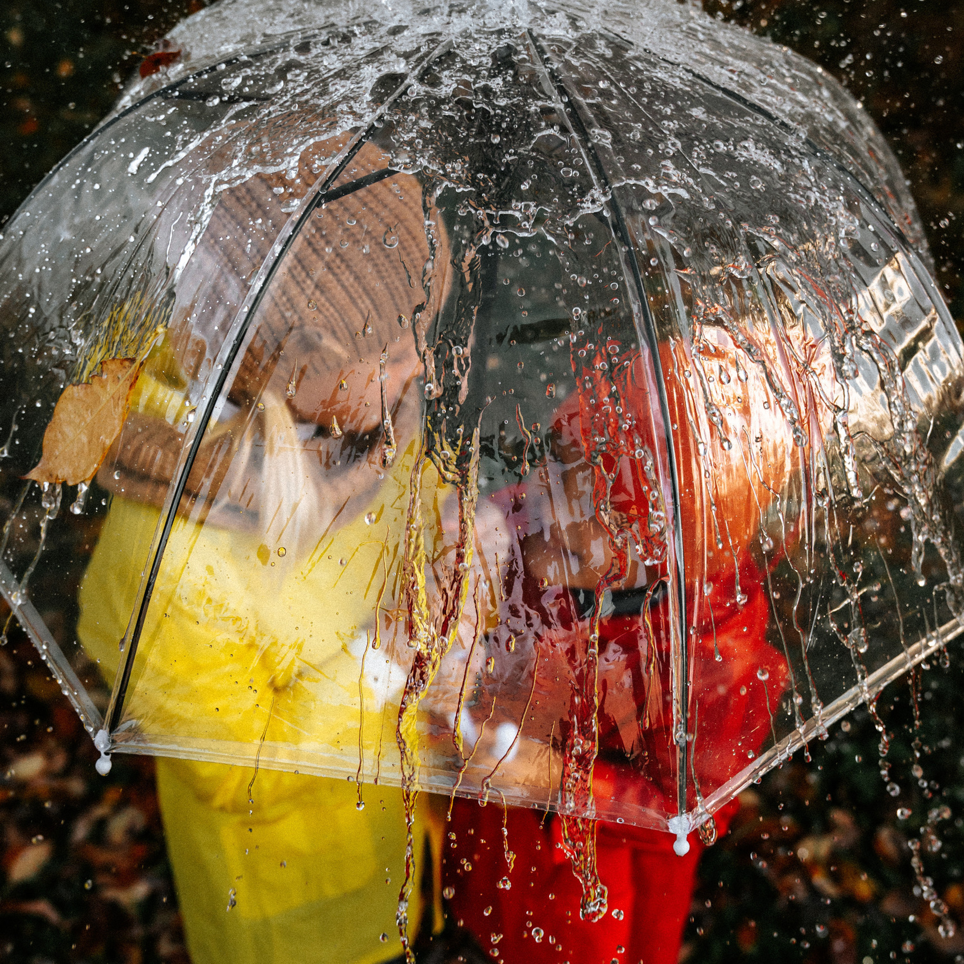 Отзывы. Фотограф в Сортавала Антонина Музалева