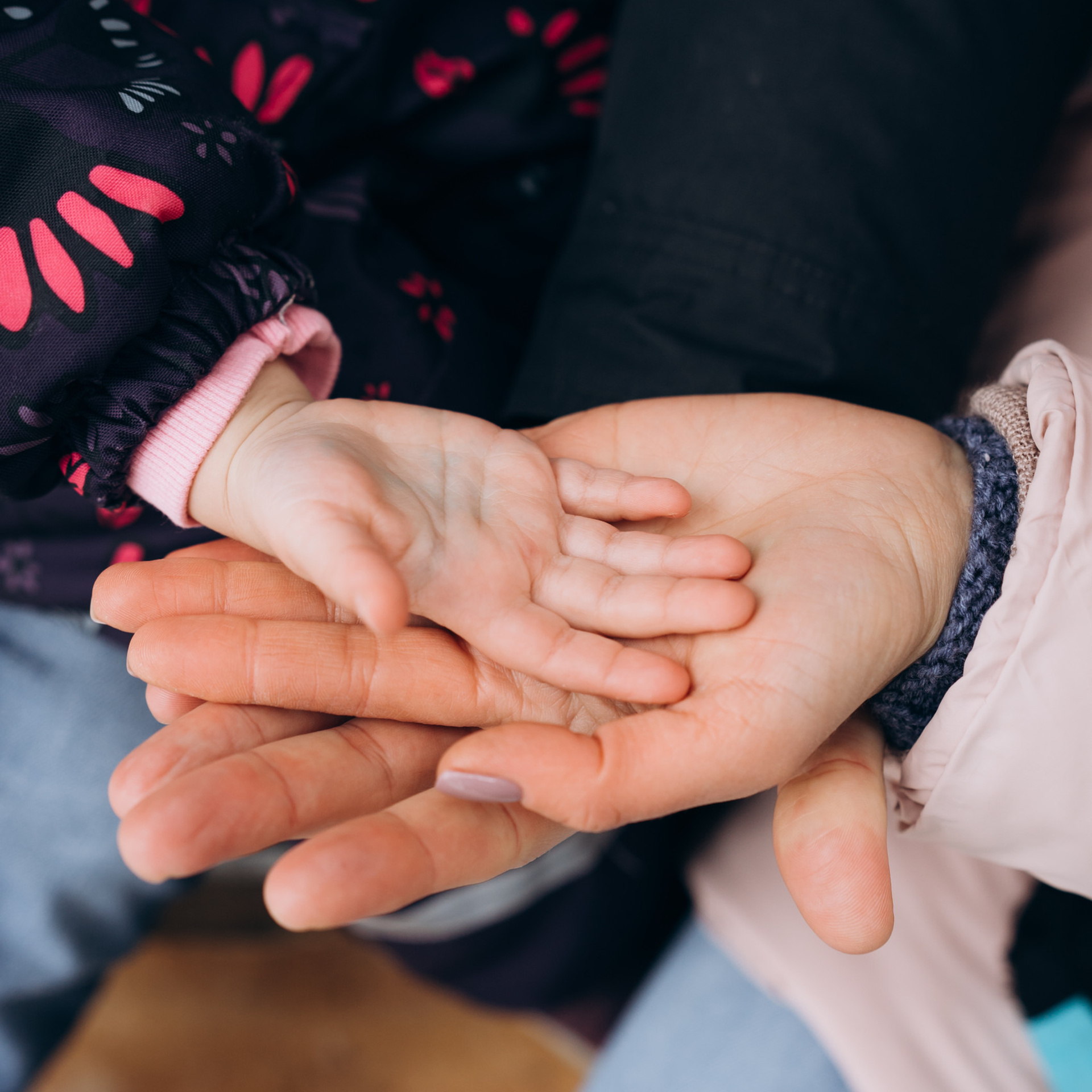 Отзывы. Фотограф в Сортавала Антонина Музалева