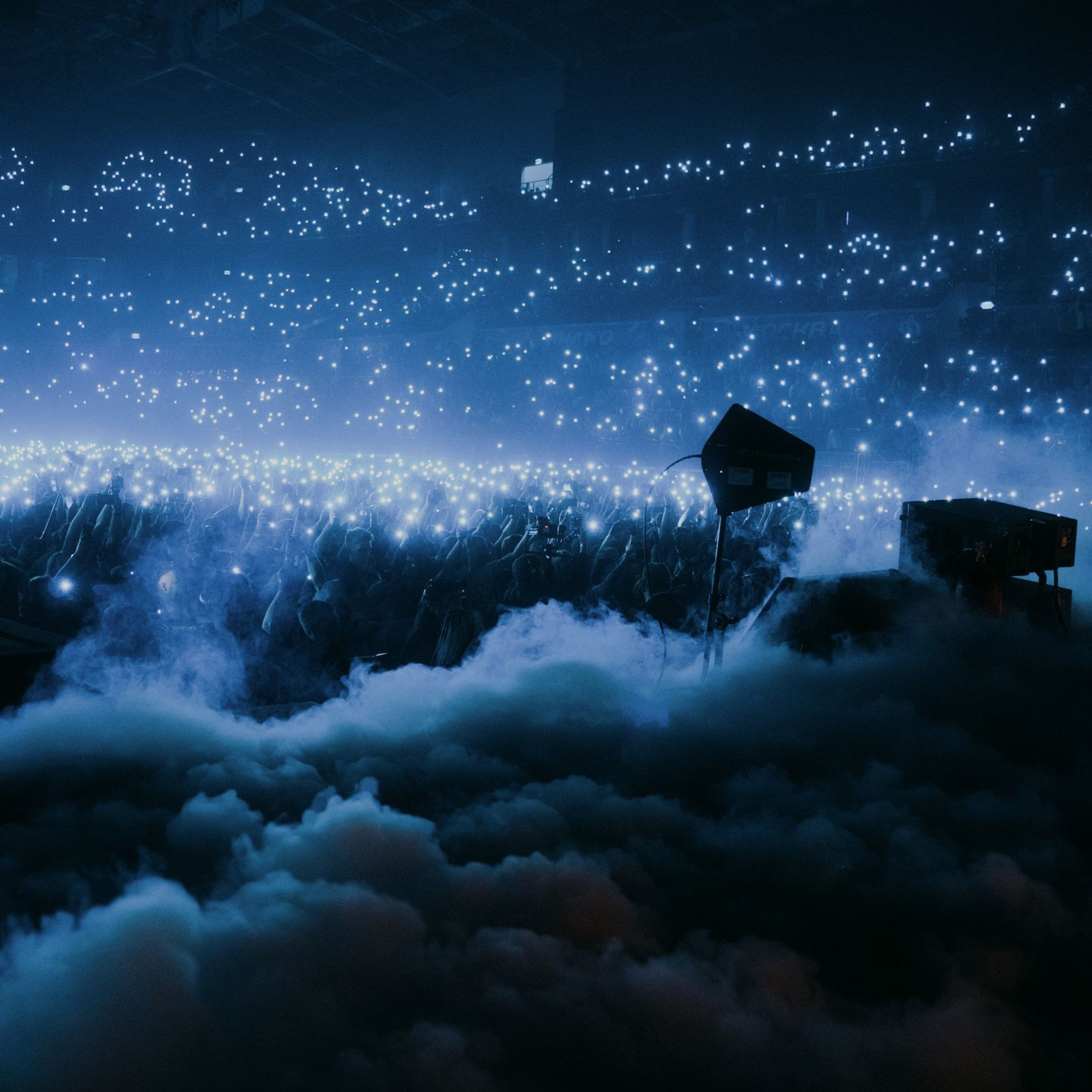 Отзывы. RVANCEVA