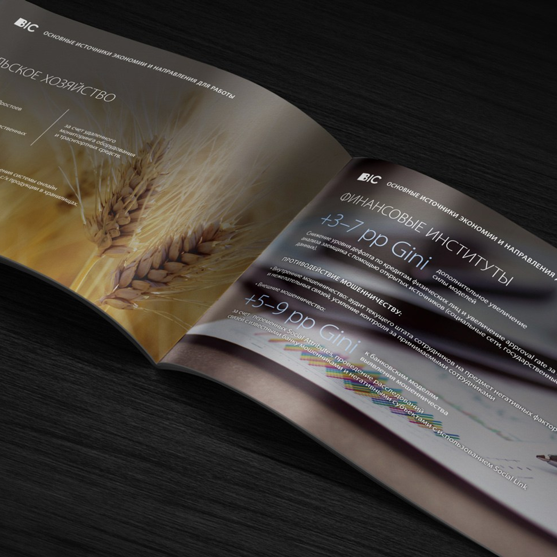 Брошюра для консультационной компании «BIC»