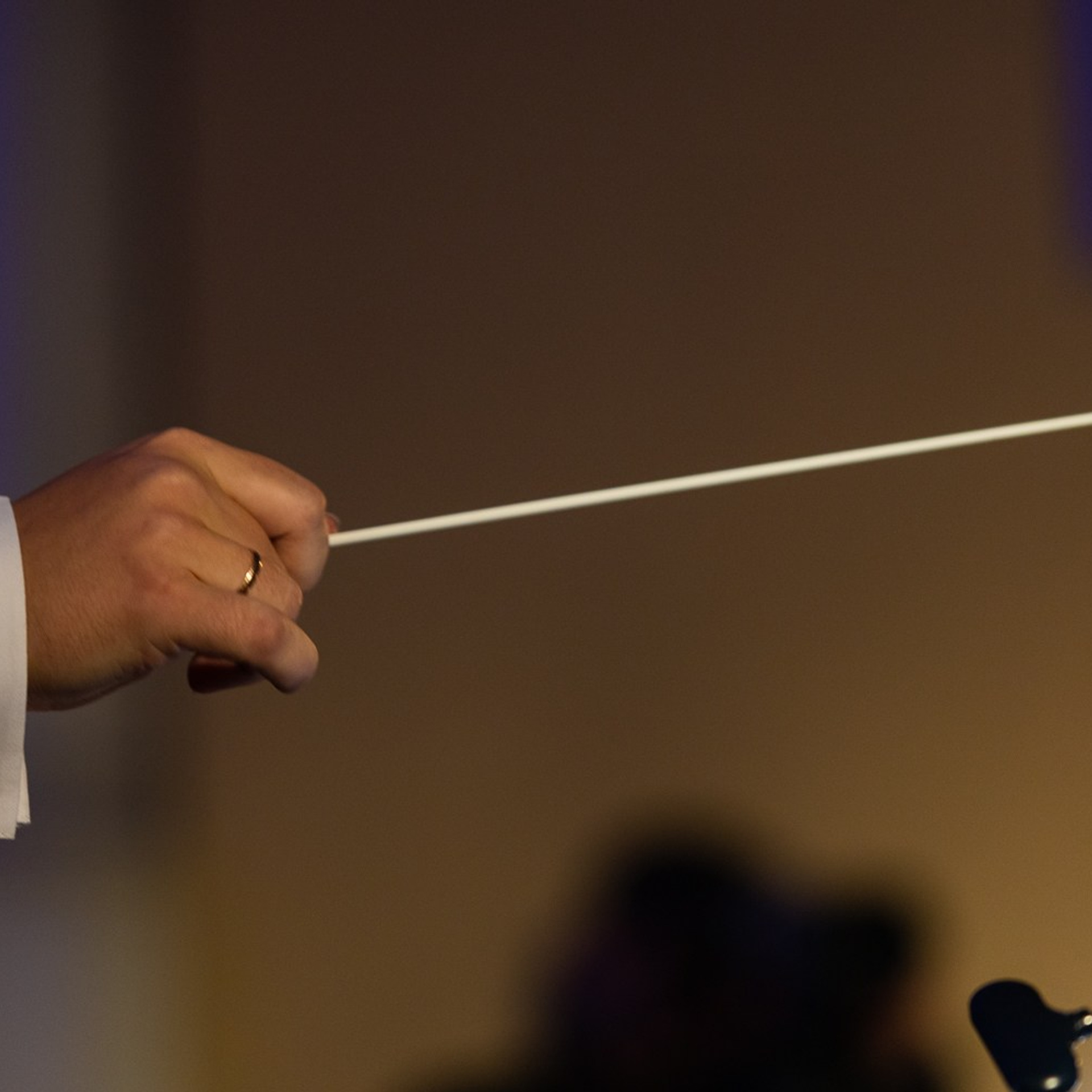 МОСКОВСКАЯ СИМФОНИЕТТА. Дмитрий Бородаев