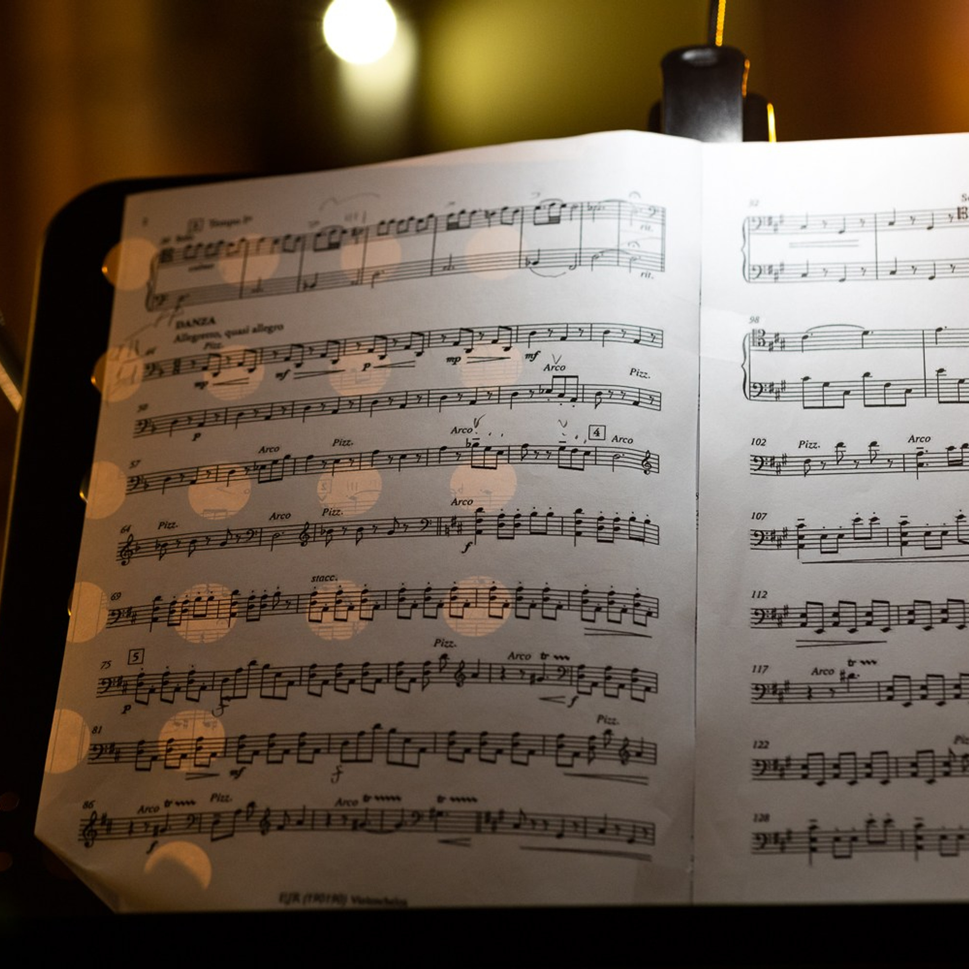 МОСКОВСКАЯ СИМФОНИЕТТА. Дмитрий Бородаев