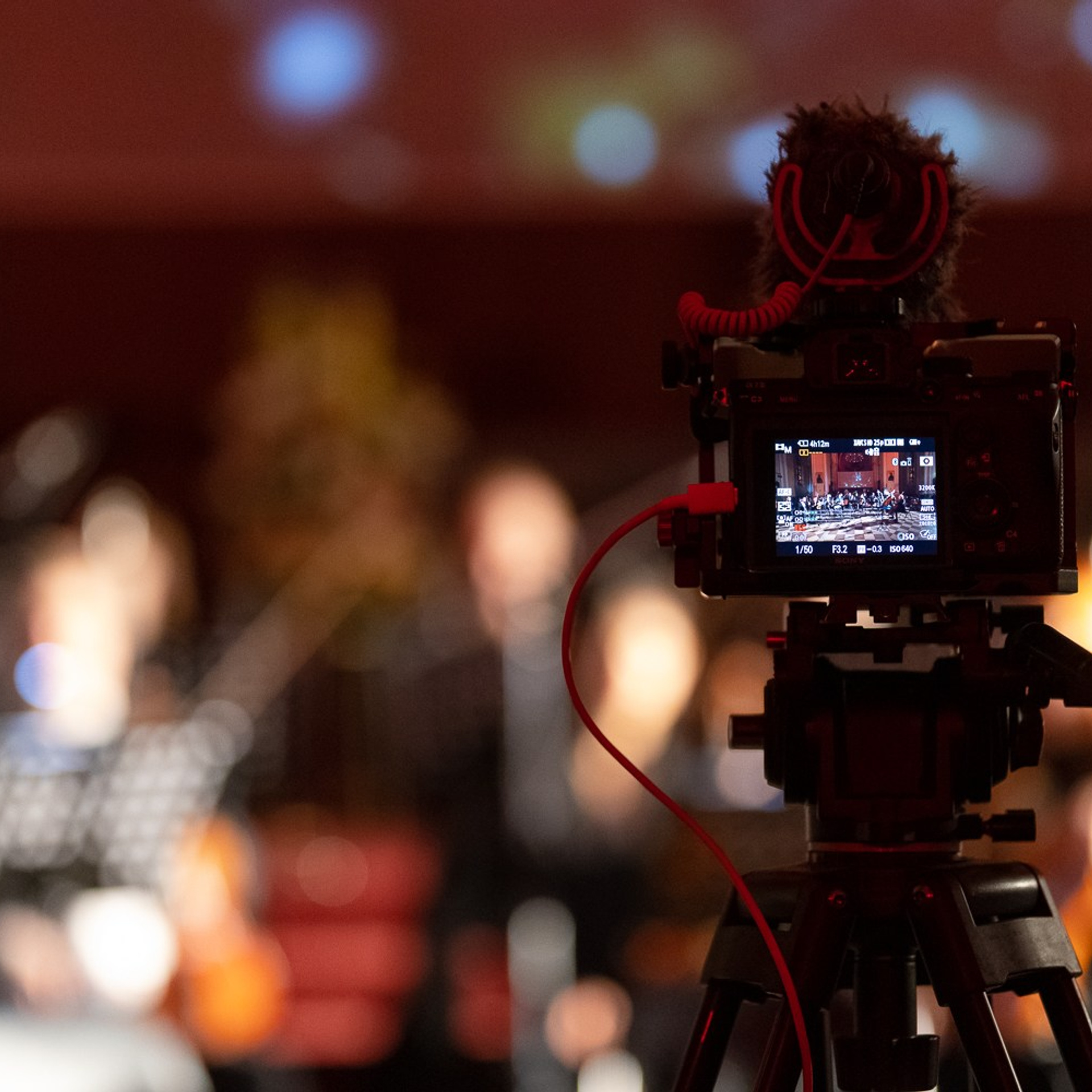 МОСКОВСКАЯ СИМФОНИЕТТА. Дмитрий Бородаев