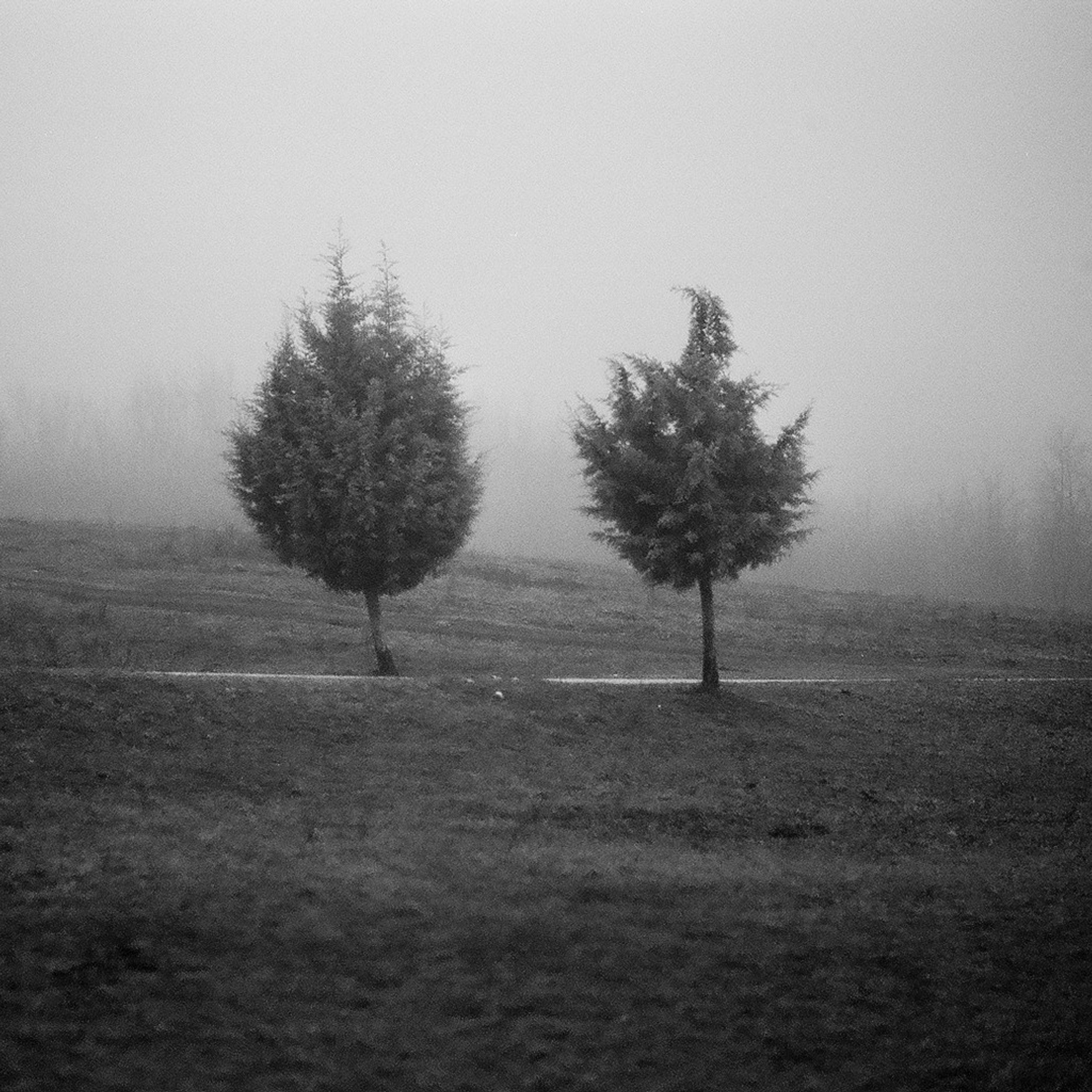 Пленочные фотографии