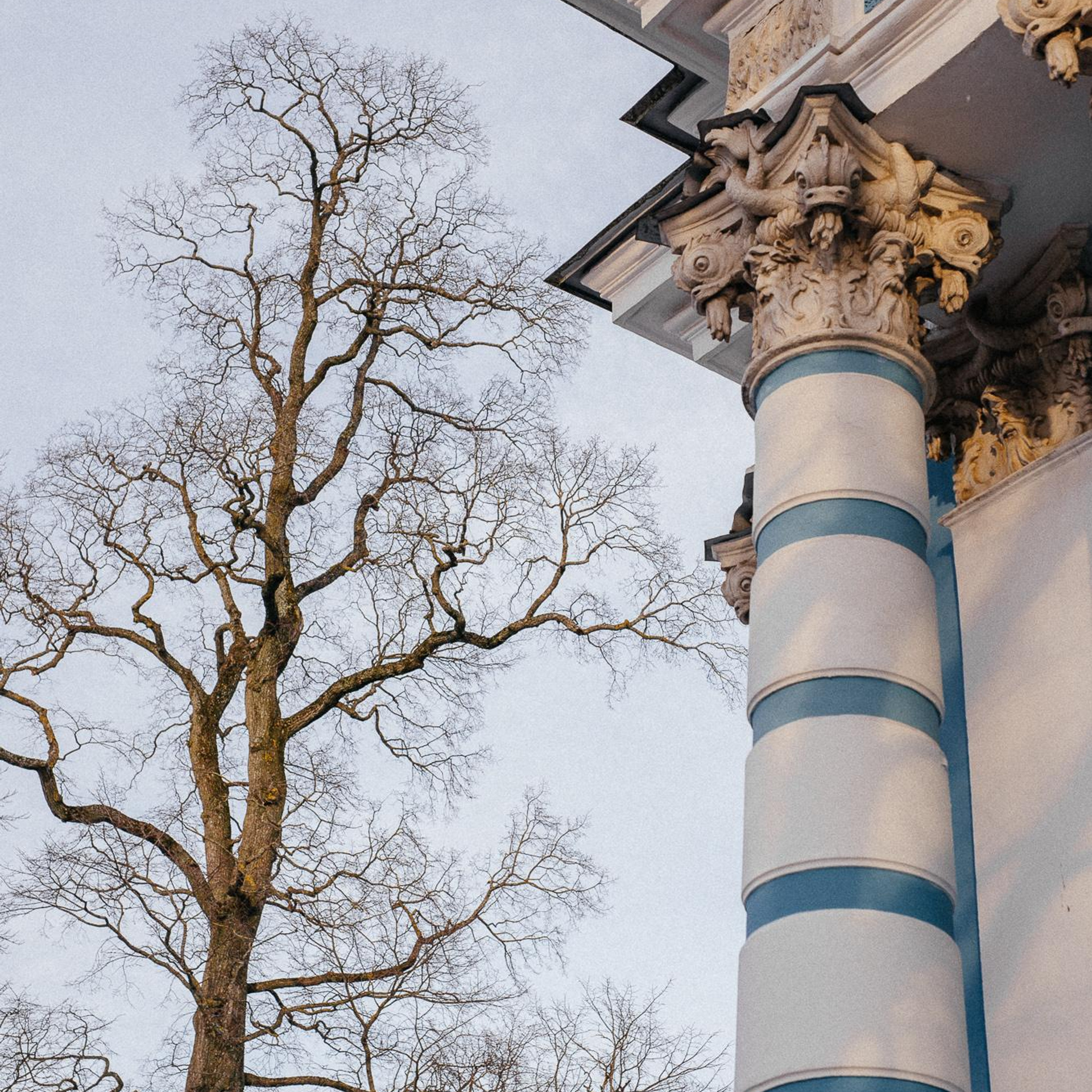 Как добраться до Царского Села из Санкт-Петербурга