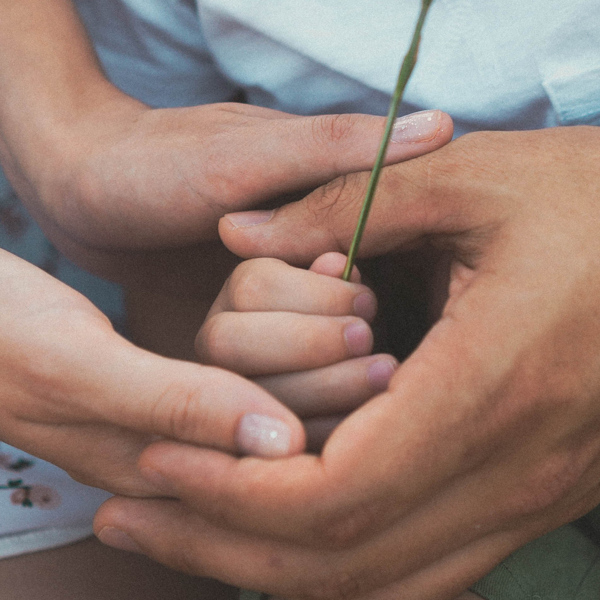 Алена и Иван