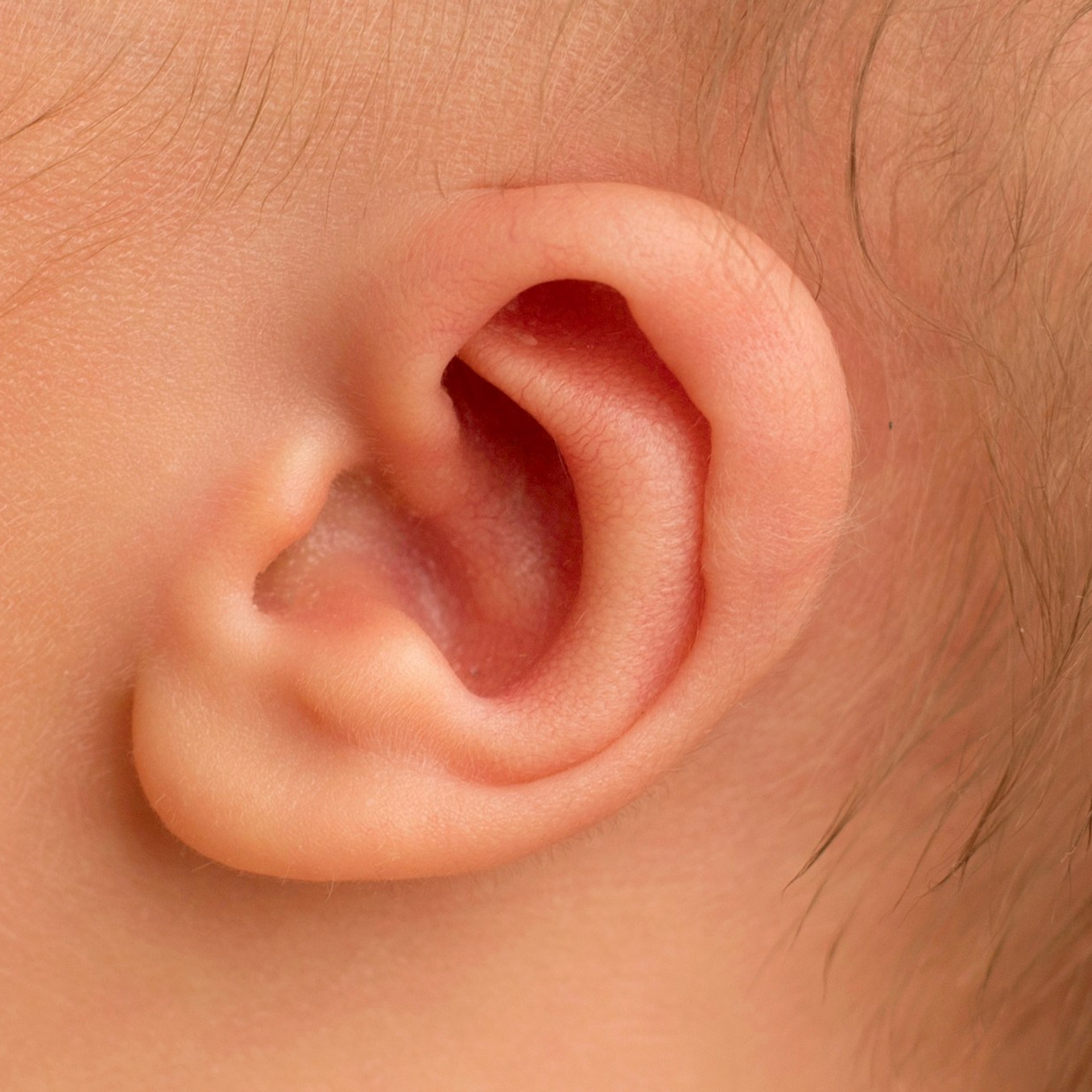 Кирилл. Фотограф новорожденных Ольга Джарты