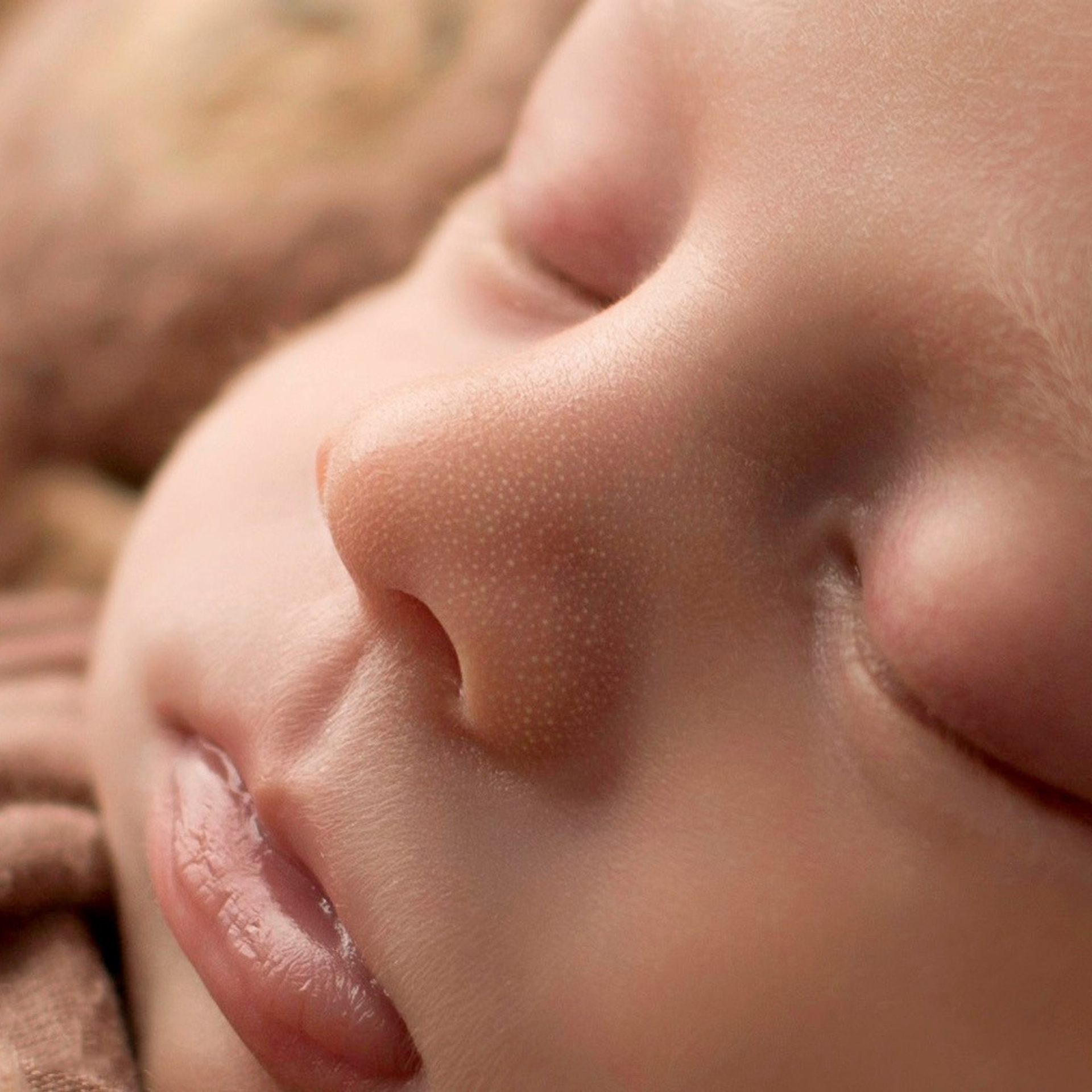 Лев. Фотограф новорожденных Ольга Джарты