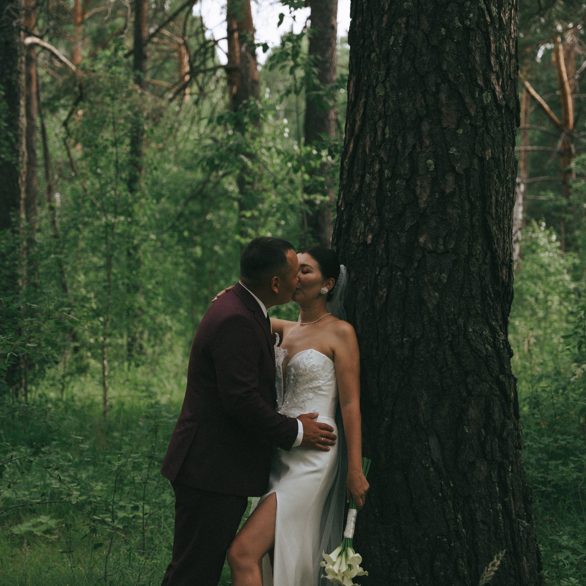 Владимир & Анна