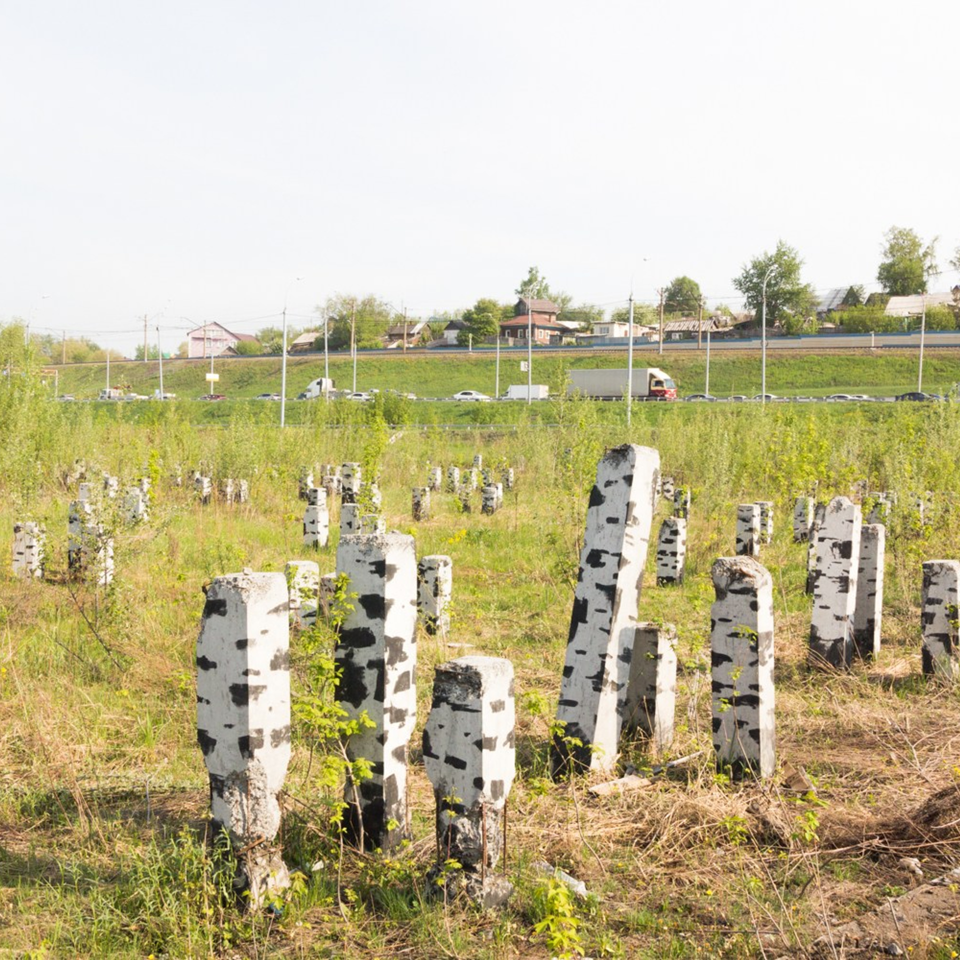 Murals. Янина болдырева Yanina Boldyreva