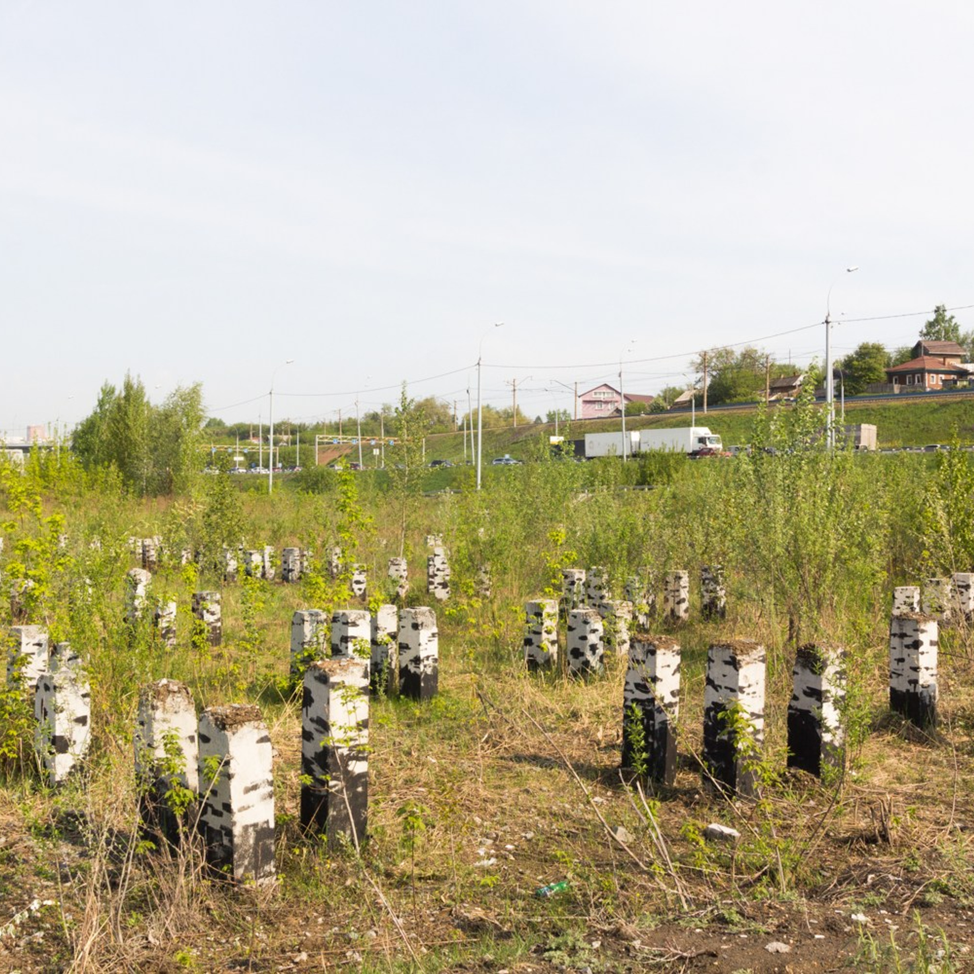 Murals. Янина болдырева Yanina Boldyreva
