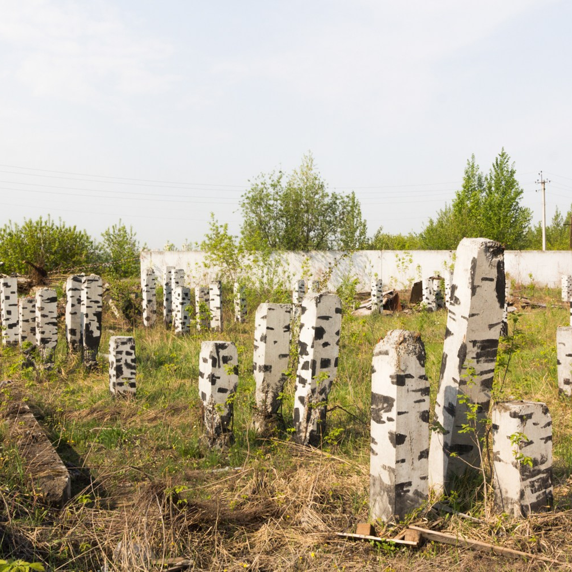 Murals. Янина болдырева Yanina Boldyreva