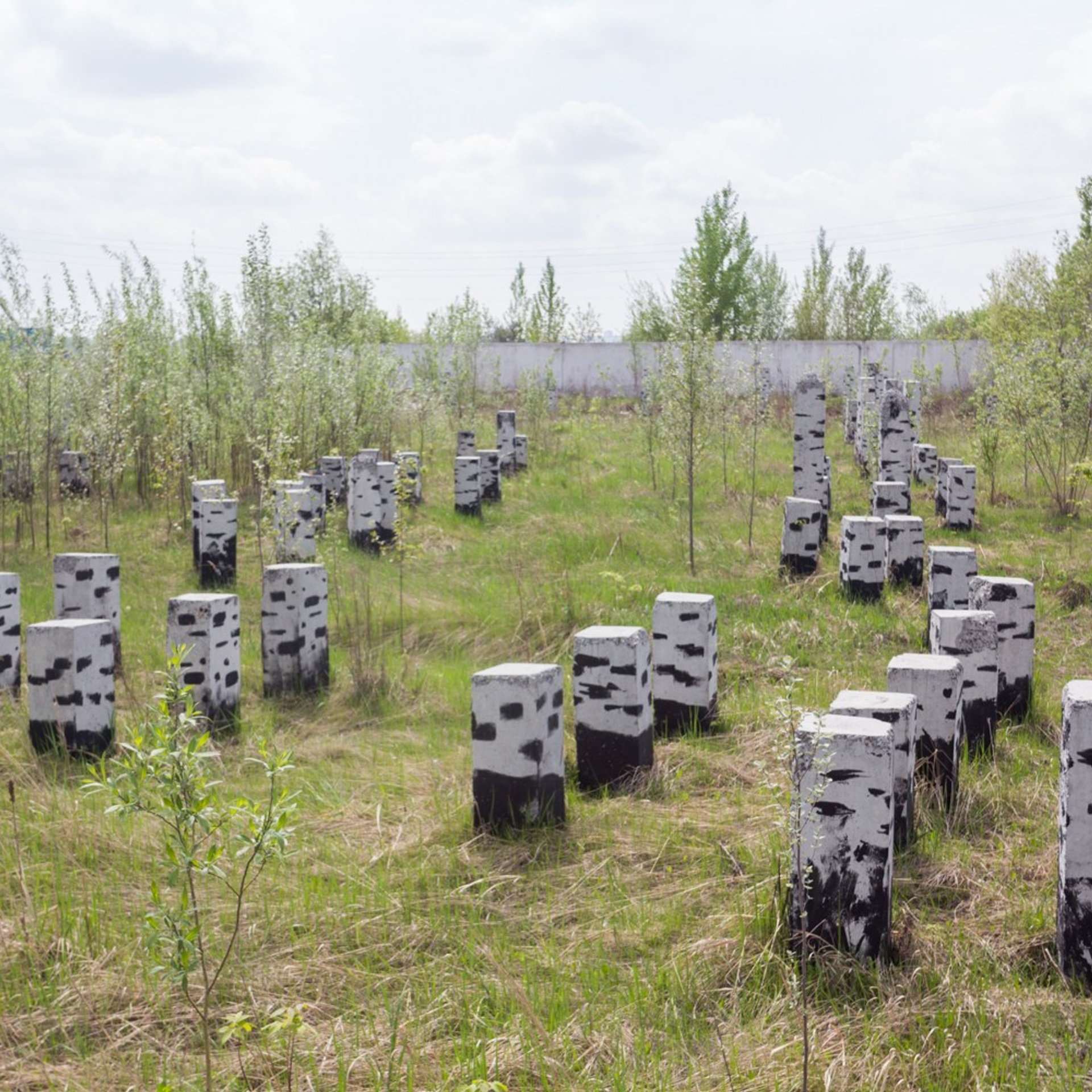 Murals. Янина болдырева Yanina Boldyreva