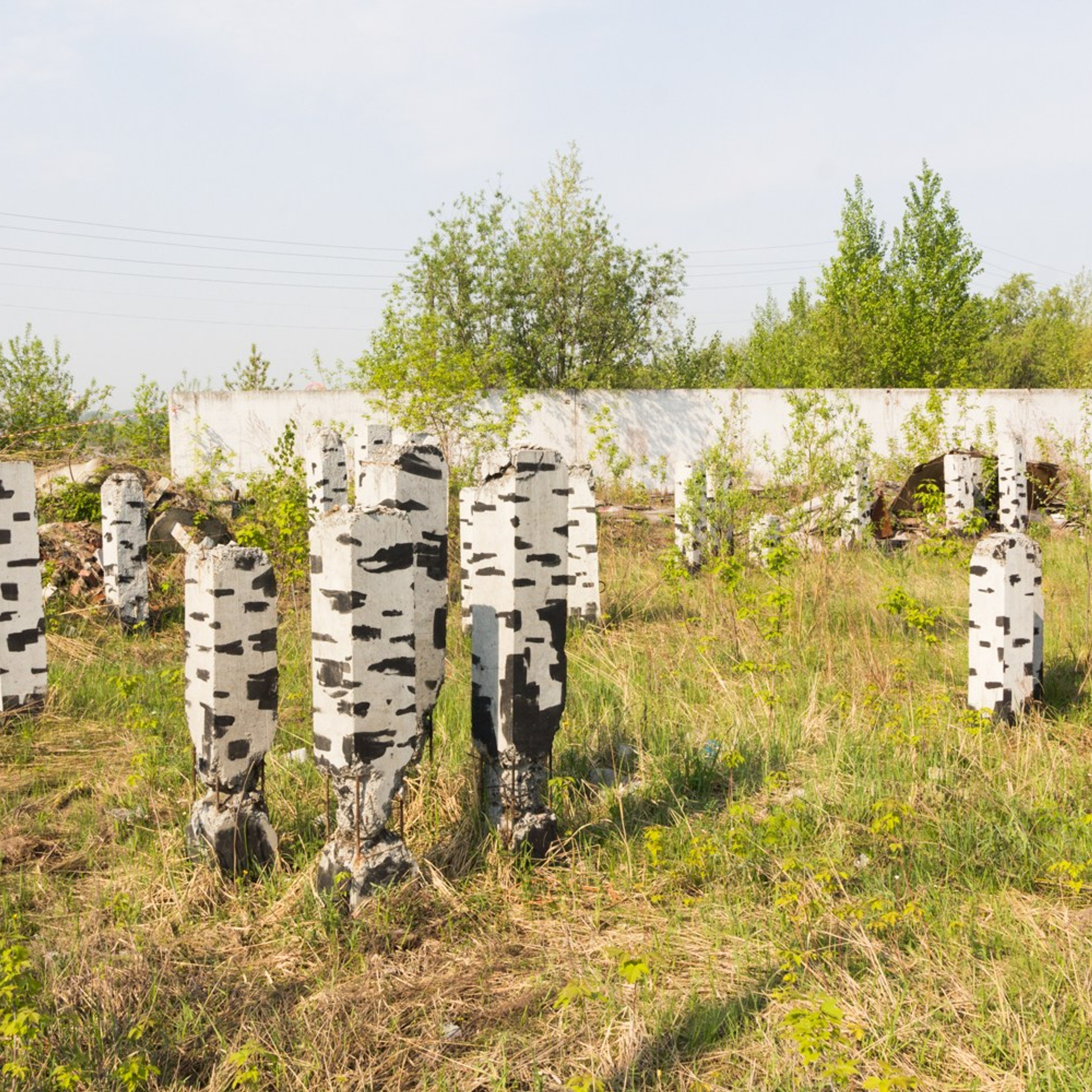 Murals. Янина болдырева Yanina Boldyreva