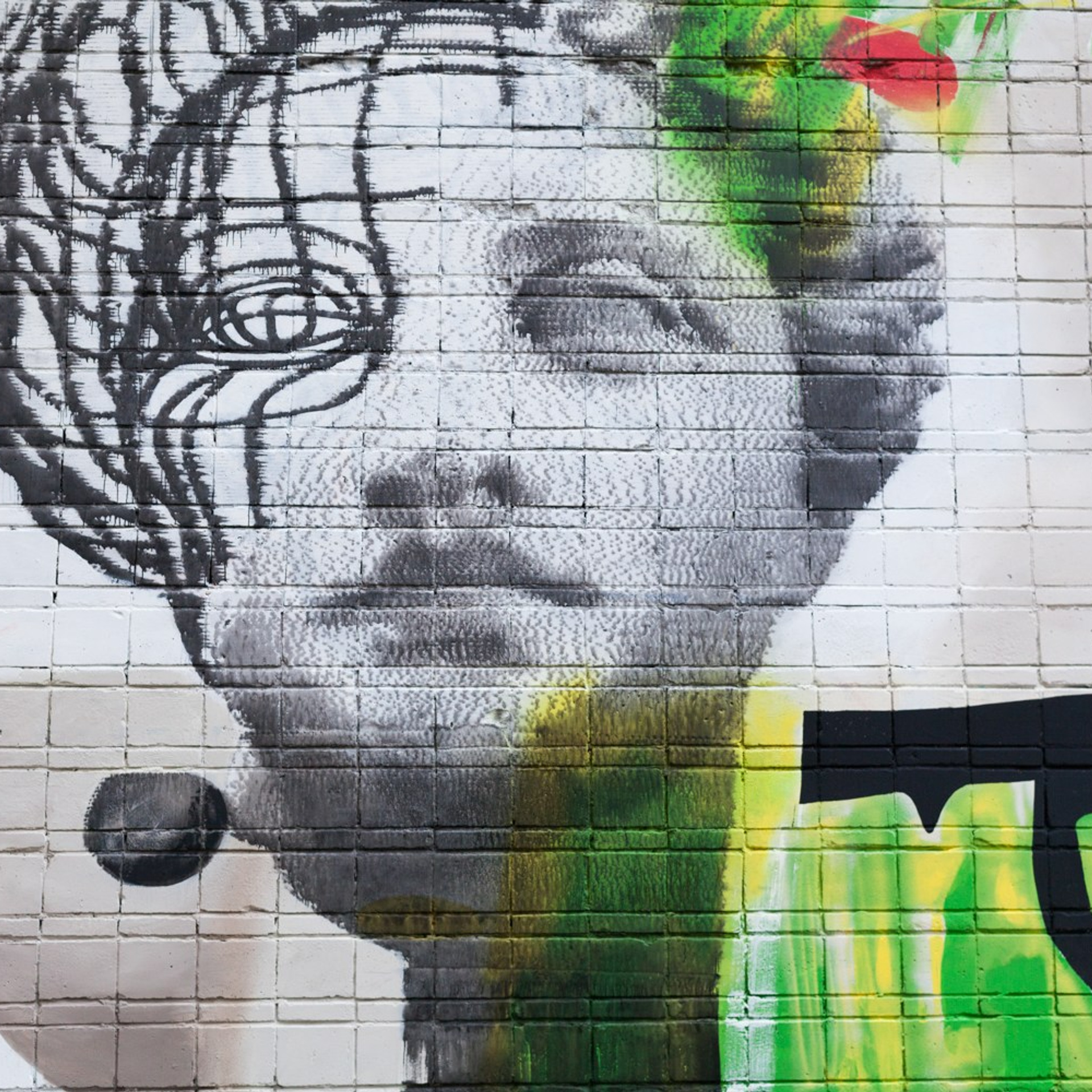 Murals. Янина болдырева Yanina Boldyreva