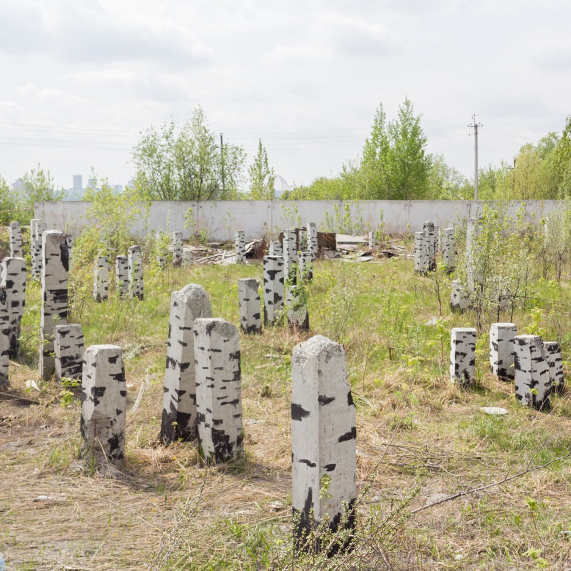 Murals. Янина болдырева Yanina Boldyreva