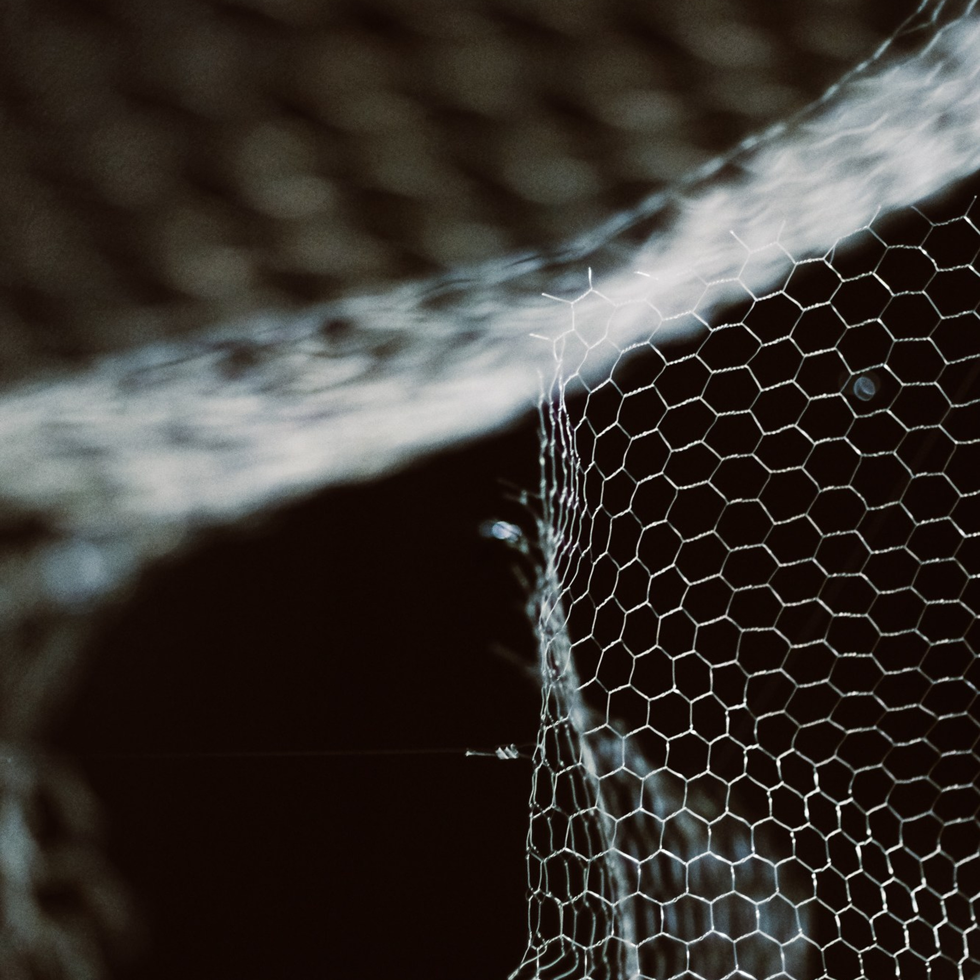 Арт-фотограф Егор Шабанов