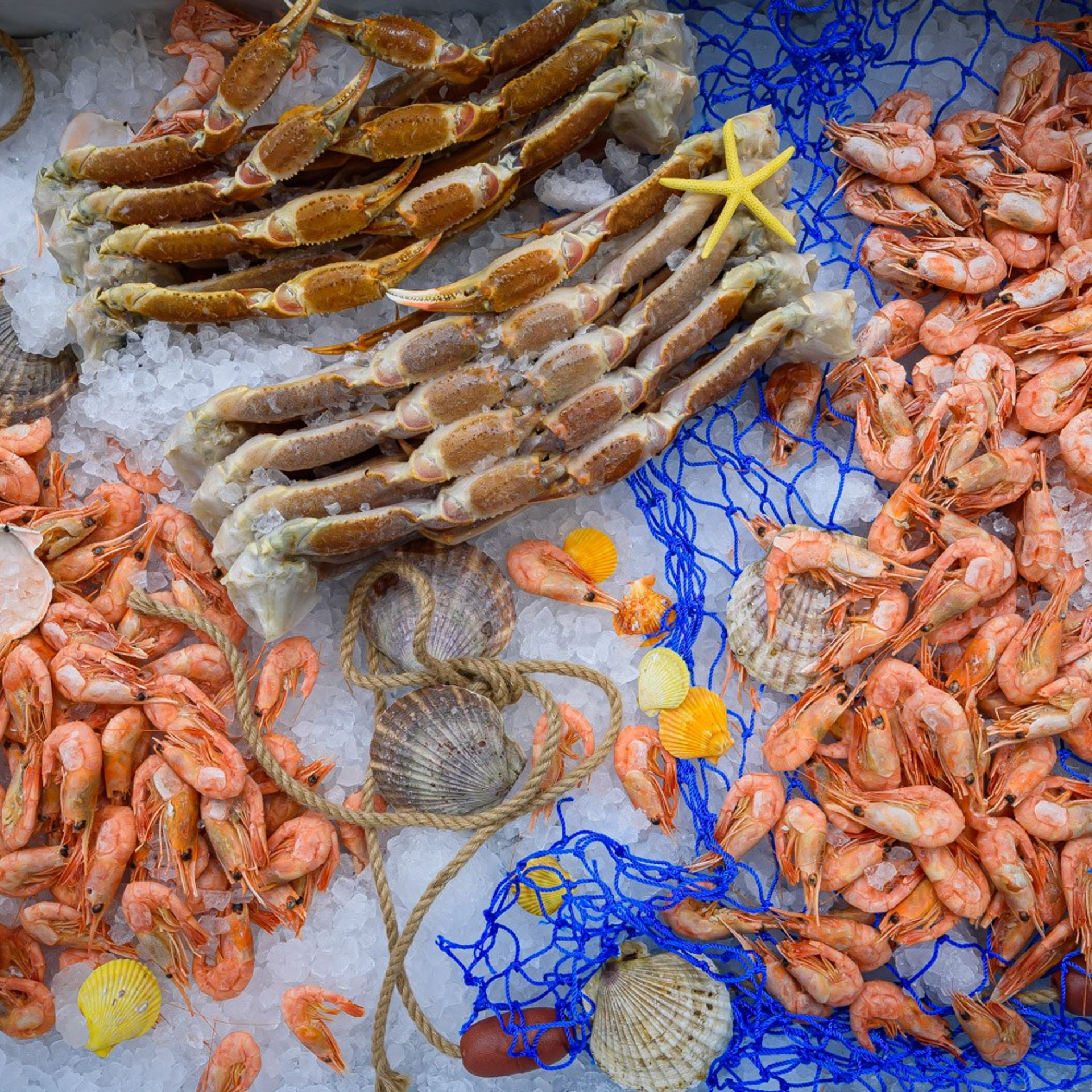 Seafood expo. Global Fishery Forum