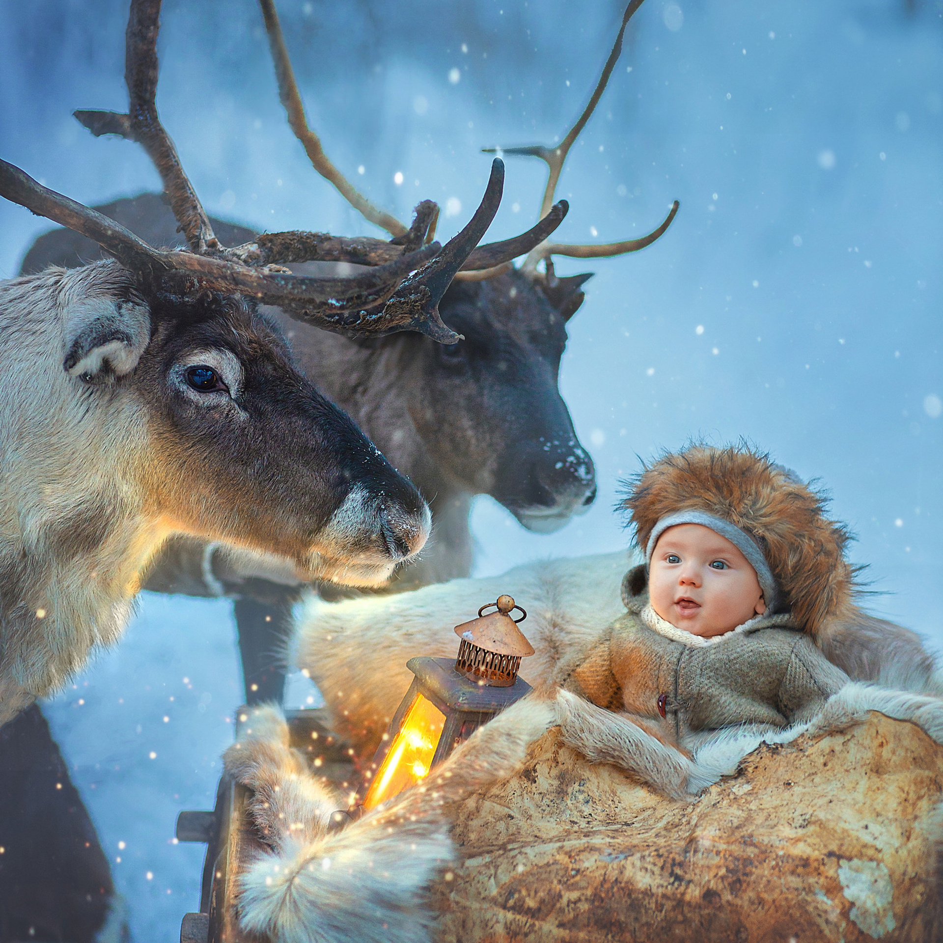 Отзывы о работе Liya Milk. Фотограф Лия Милк | Москва, Подмосковье