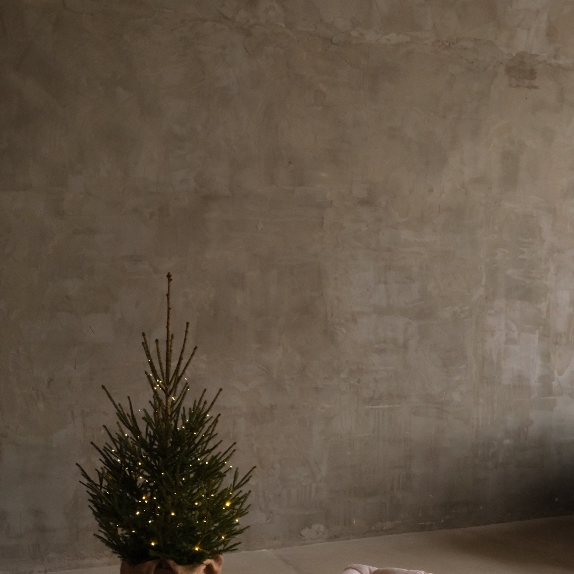 Новогодние локации 2026. Свадебный и семейный фотограф в Туле и области Маша Костина