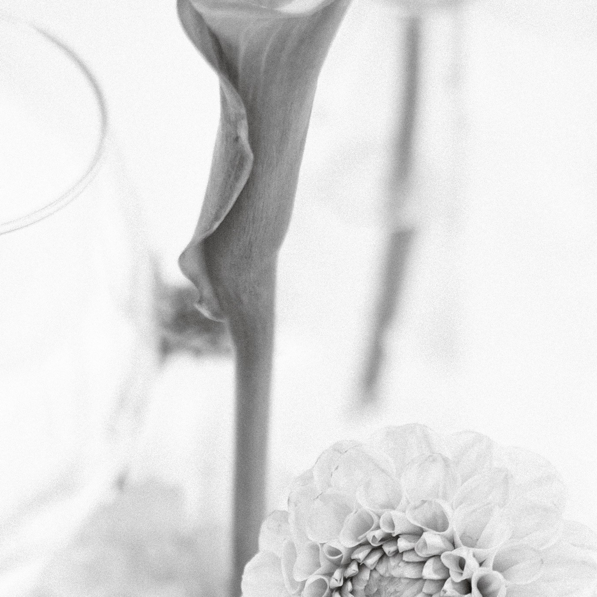 ОТЗЫВЫ. Свадебный фотограф Москва Ирина Писарева