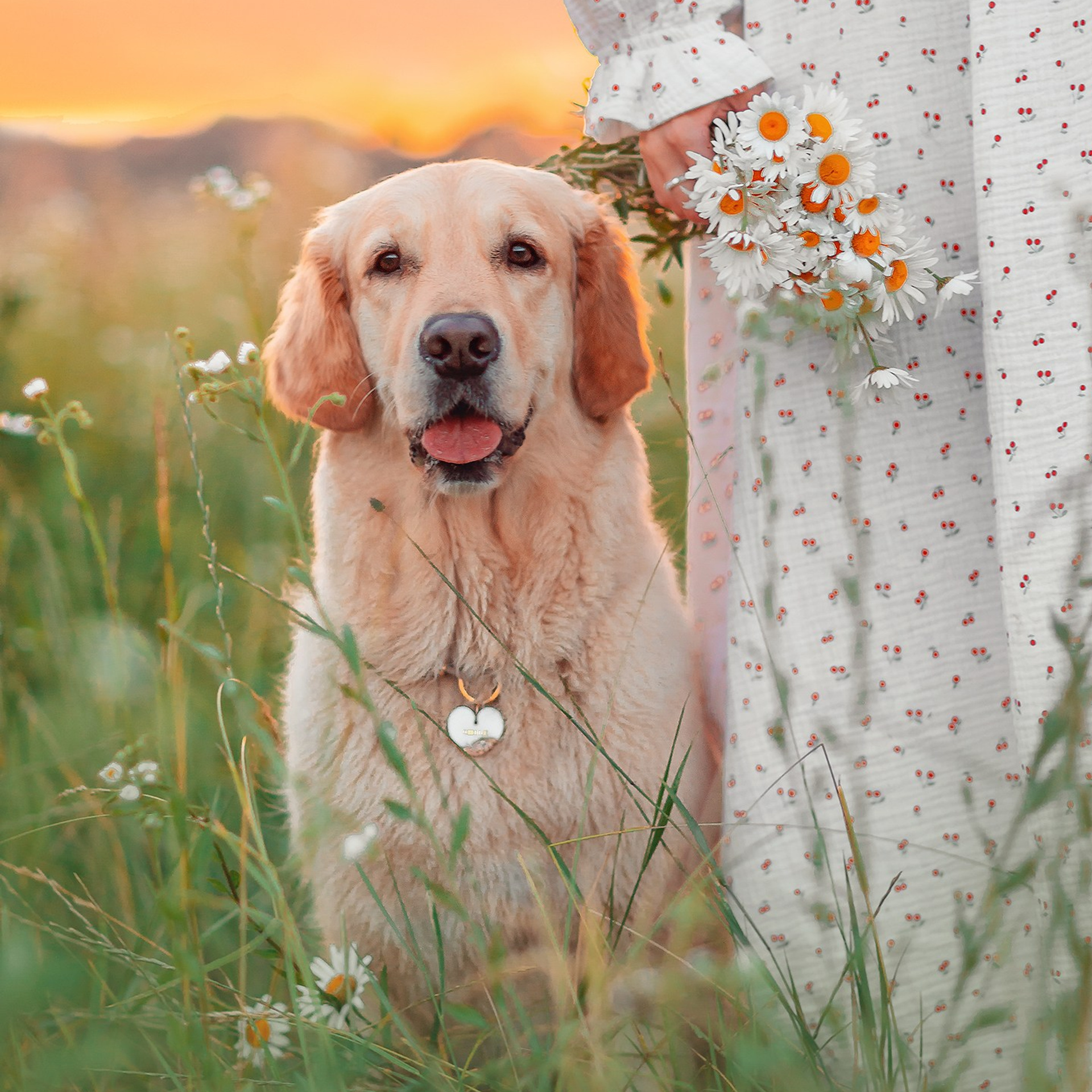 Семейный фотограф анималист Мария Крючкова