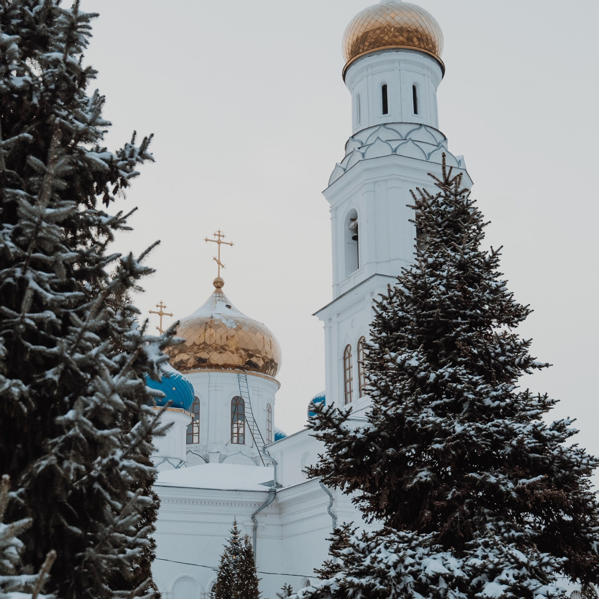 Отзывы. Семейный фотограф и фотограф Таинств Крещения (Венчания) г. Саратов