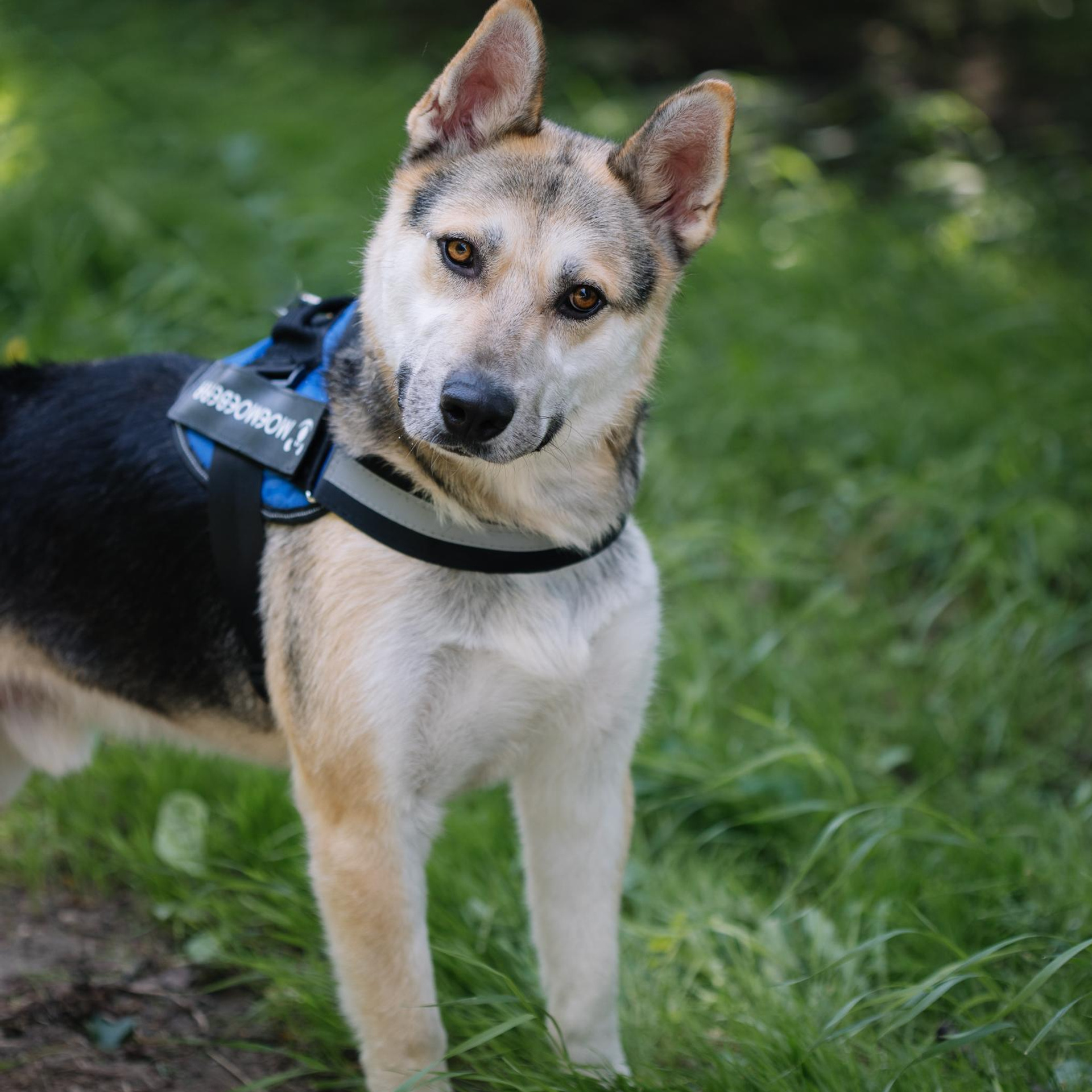 Отзывы. Кристина Киссер |Фотограф | сняла ⩾ 2000 съёмок | главная по атмосфере