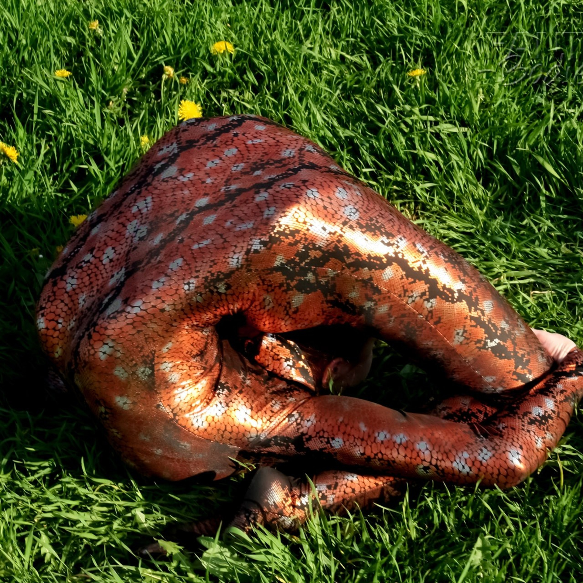 Цирковая 009. Fantastic-Bodies photo performance