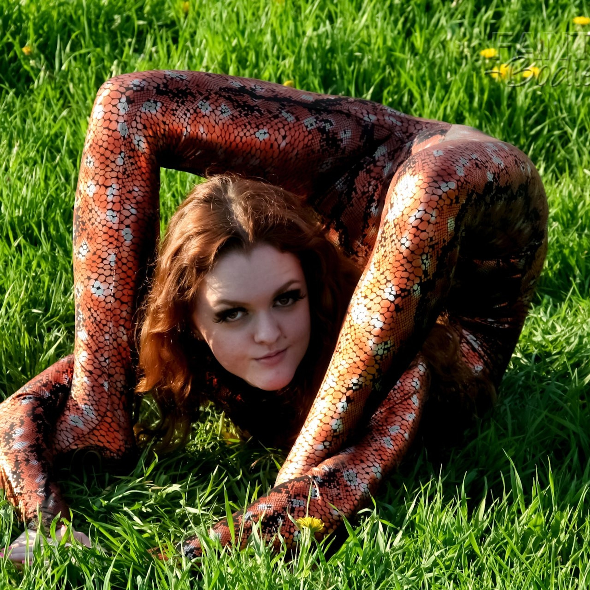 Цирковая 009. Fantastic-Bodies photo performance