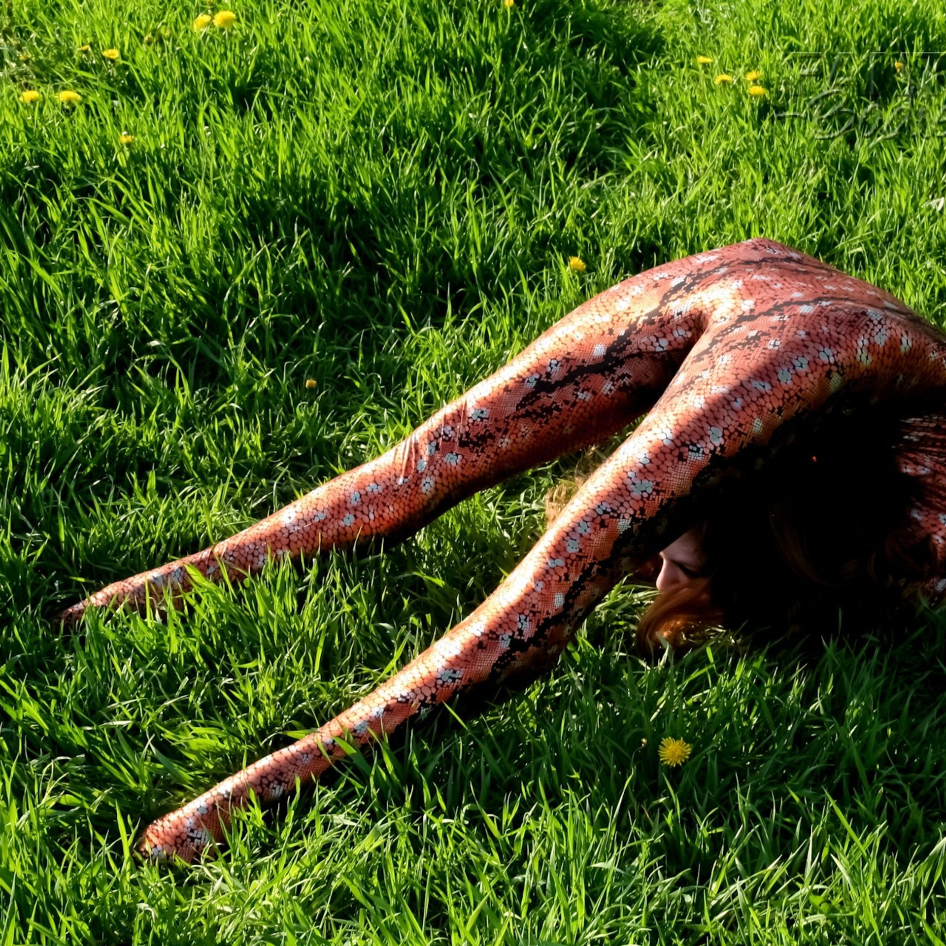 Цирковая 009. Fantastic-Bodies photo performance