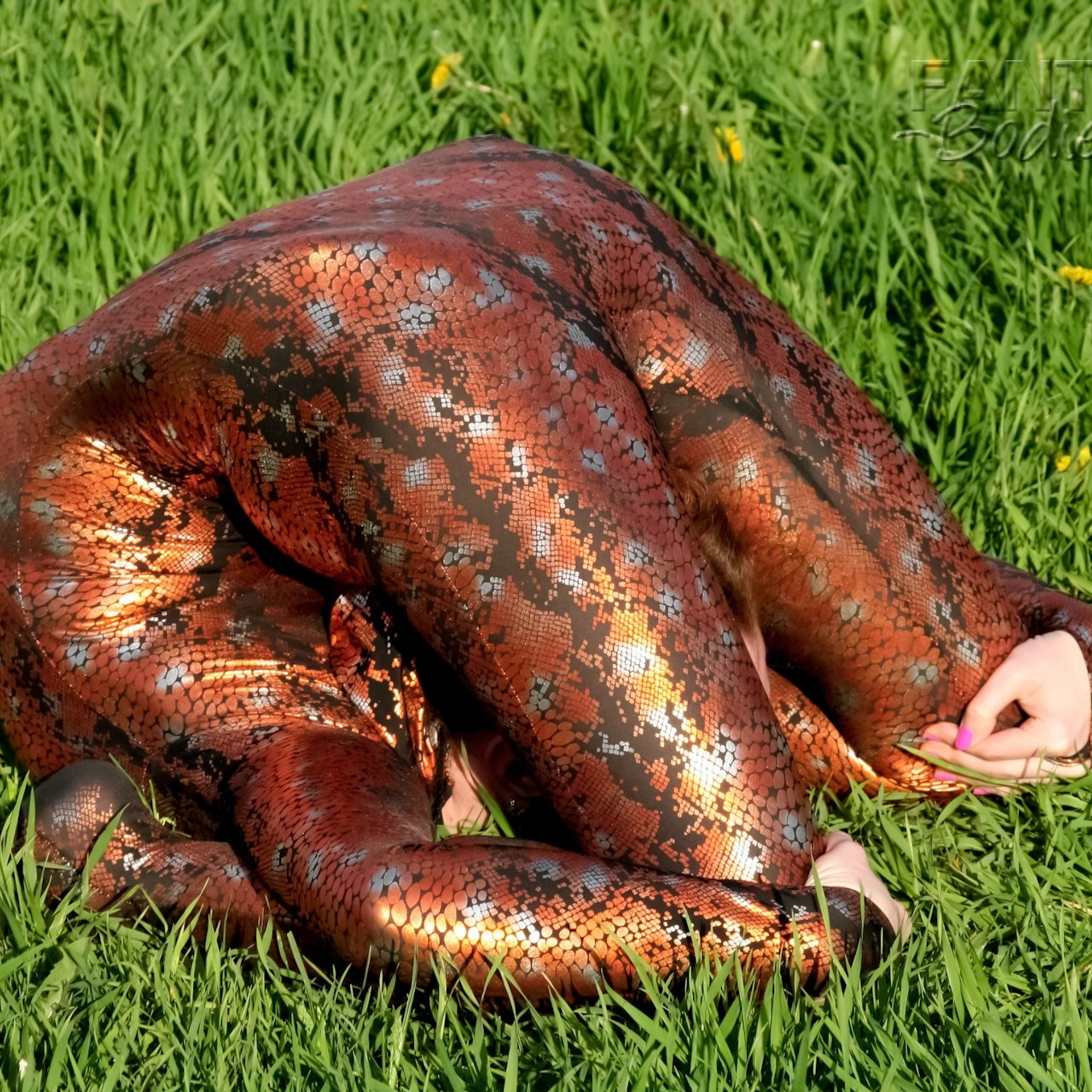 Цирковая 009. Fantastic-Bodies photo performance