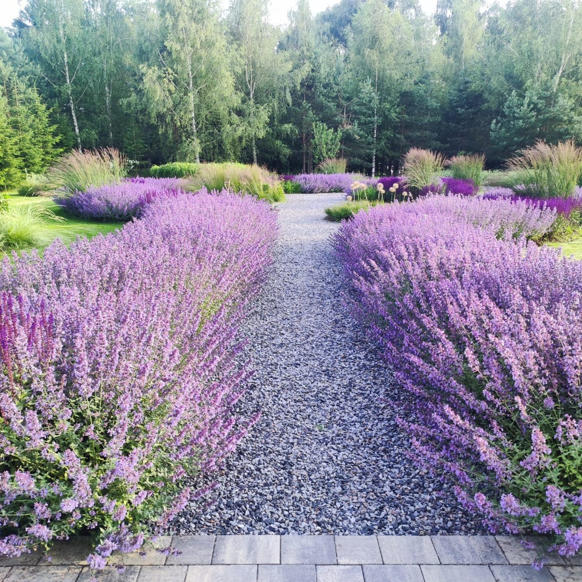 ландшафтный дизайн