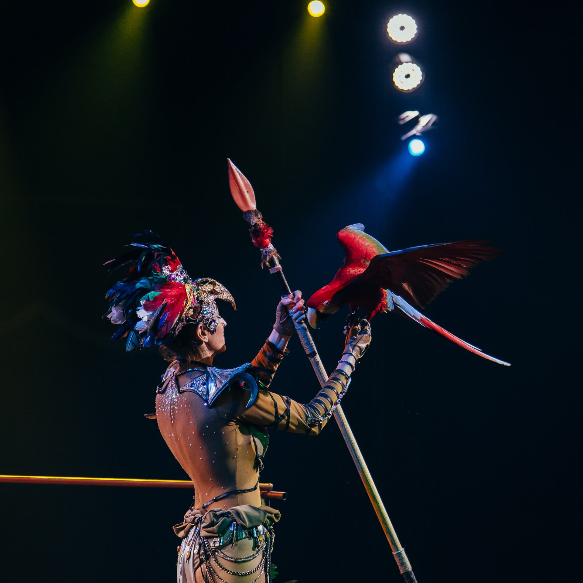 ЦИРК. Фотограф Алтай — Айсур Баксаргин