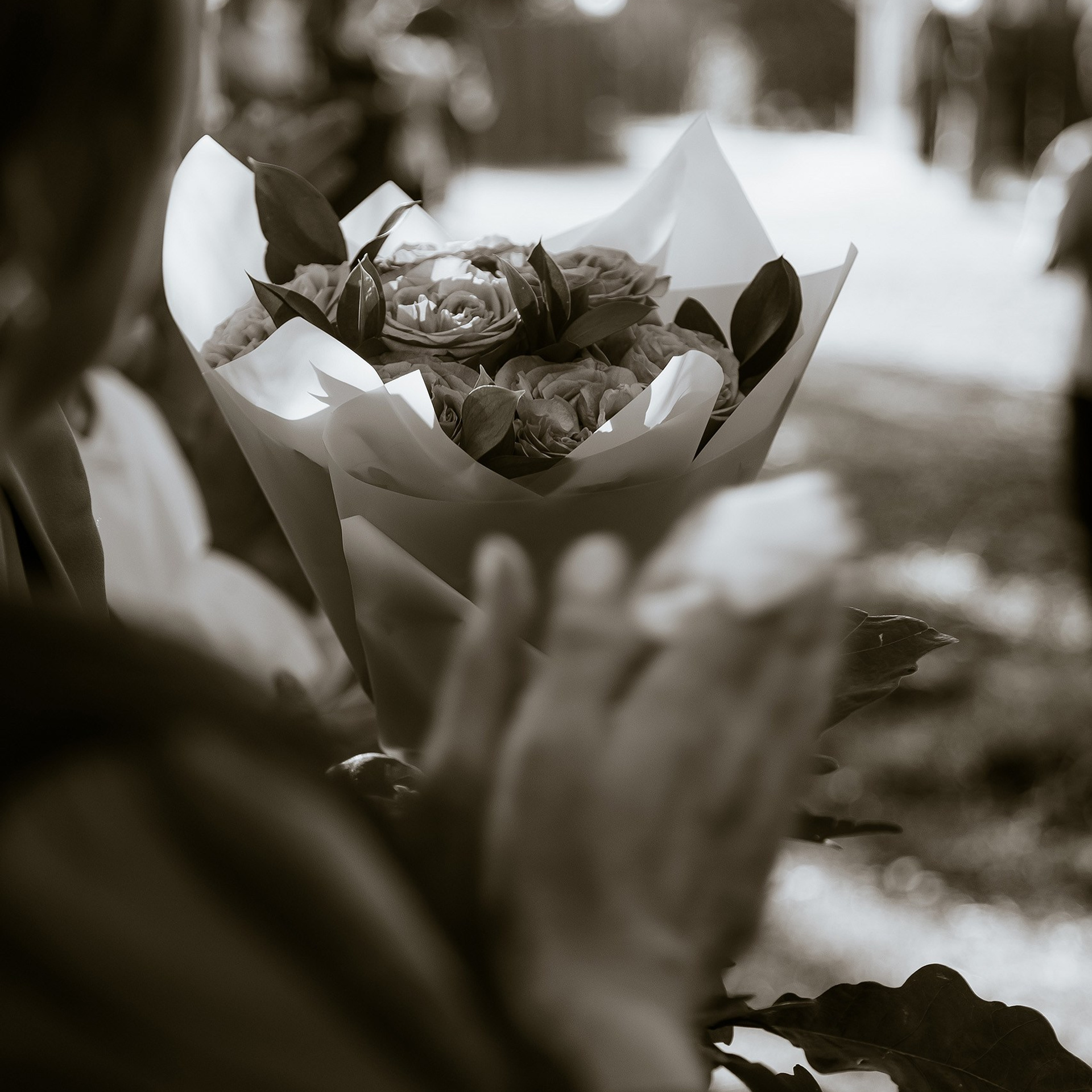 Никита & Вероника. Фотограф Алтай — Айсур Баксаргин