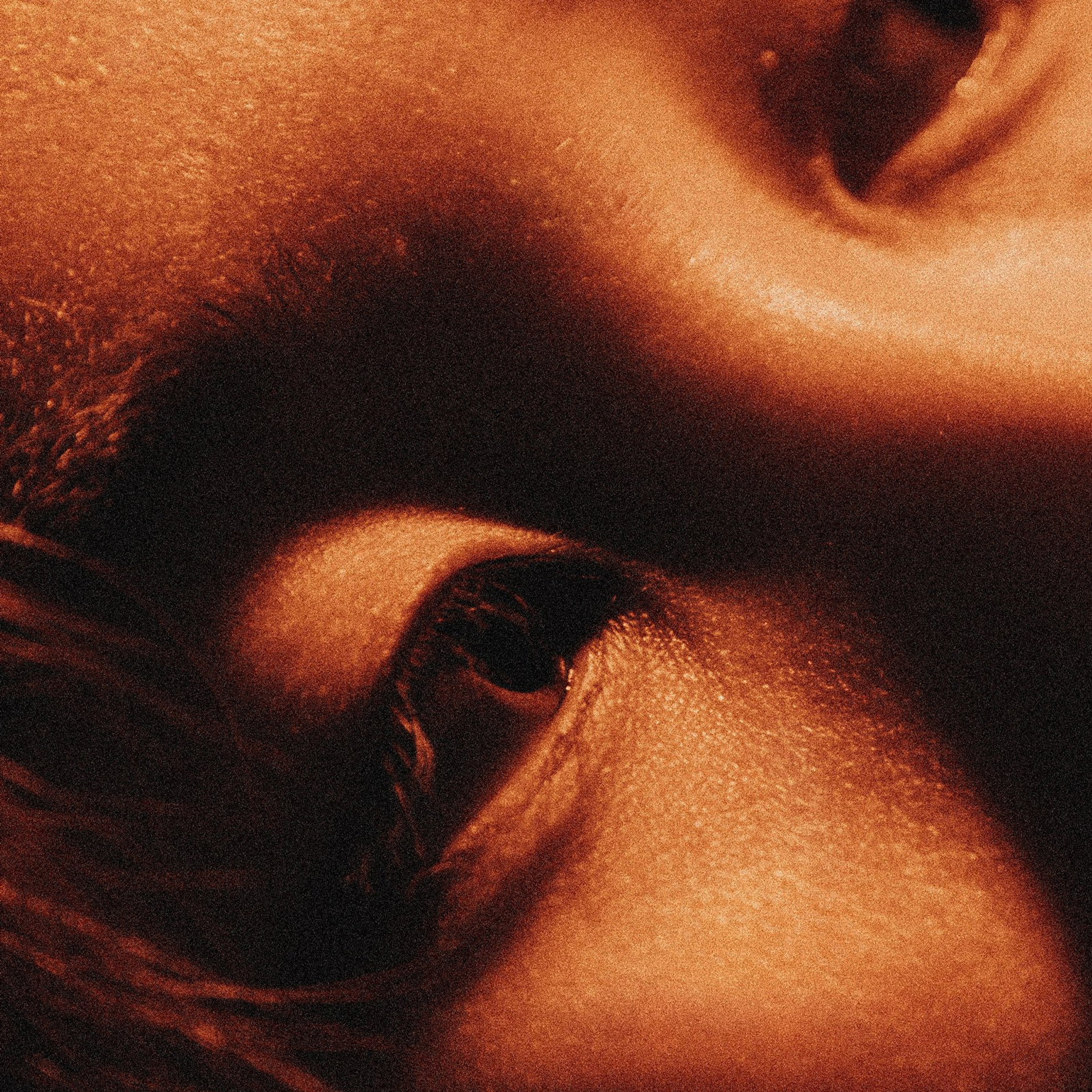 Oulen. Фотограф Алтай — Айсур Баксаргин