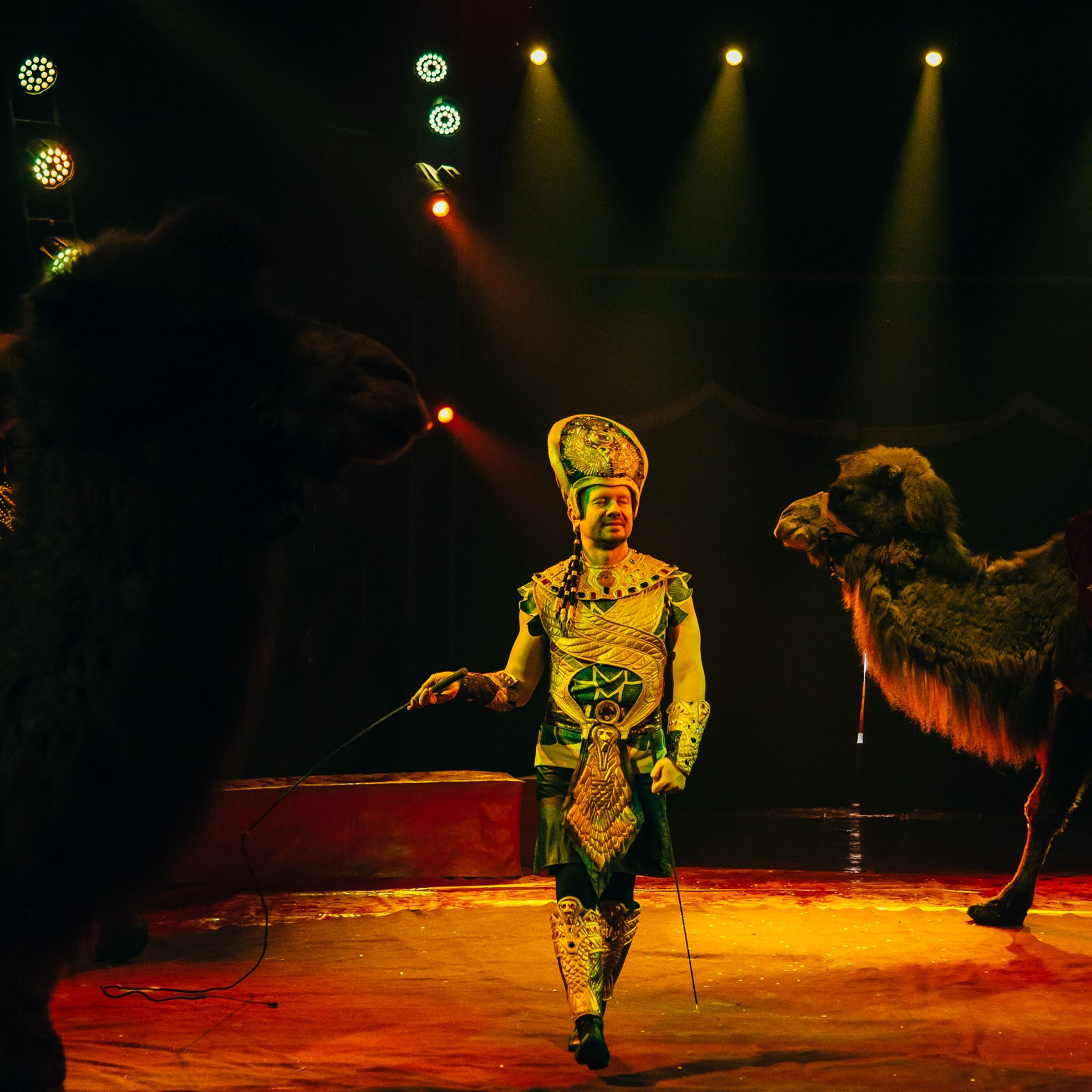 ЦИРК. Фотограф Алтай — Айсур Баксаргин