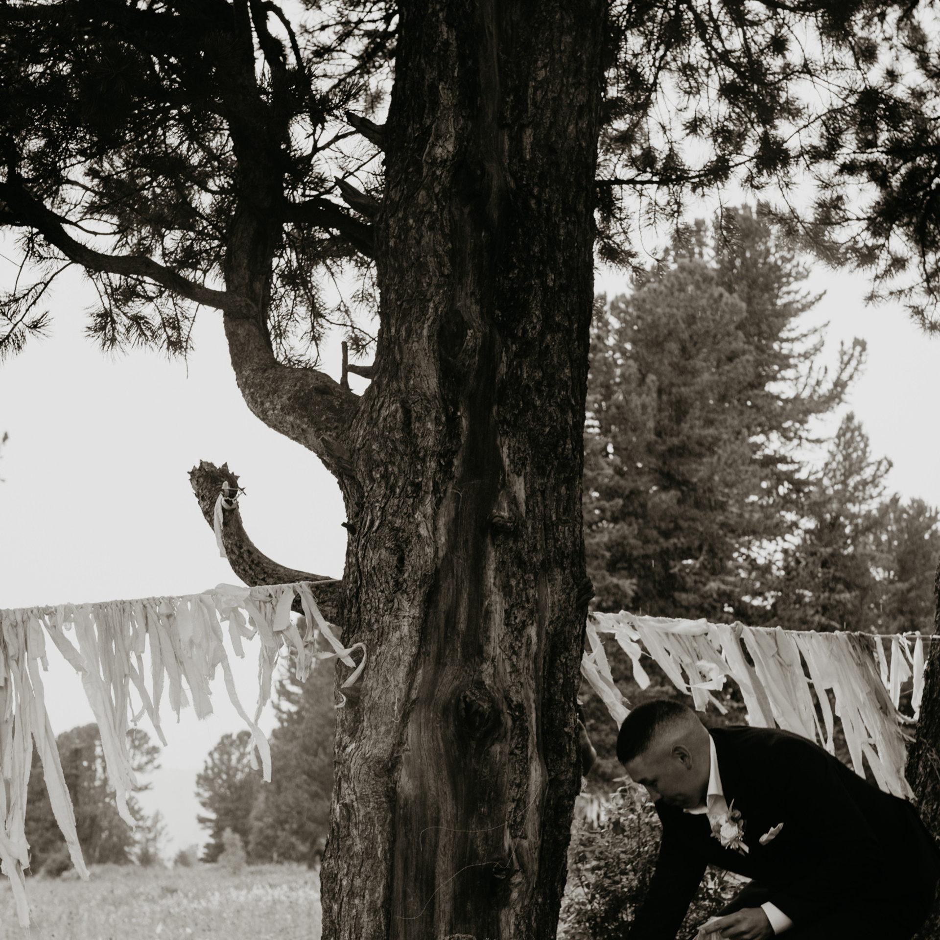 Эмиль & Айхана. Фотограф Алтай — Айсур Баксаргин