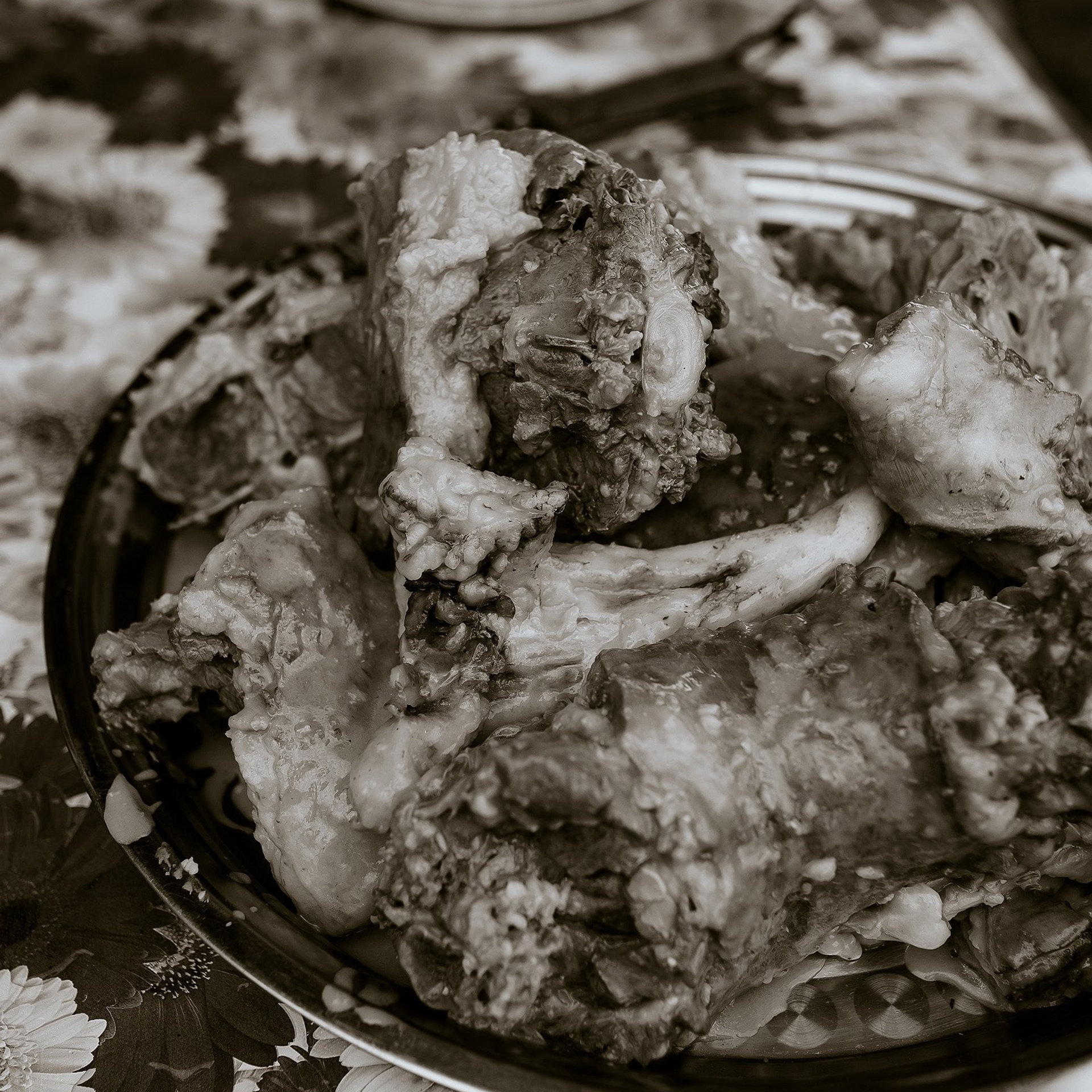 Койу Кочо. Фотограф Алтай — Айсур Баксаргин