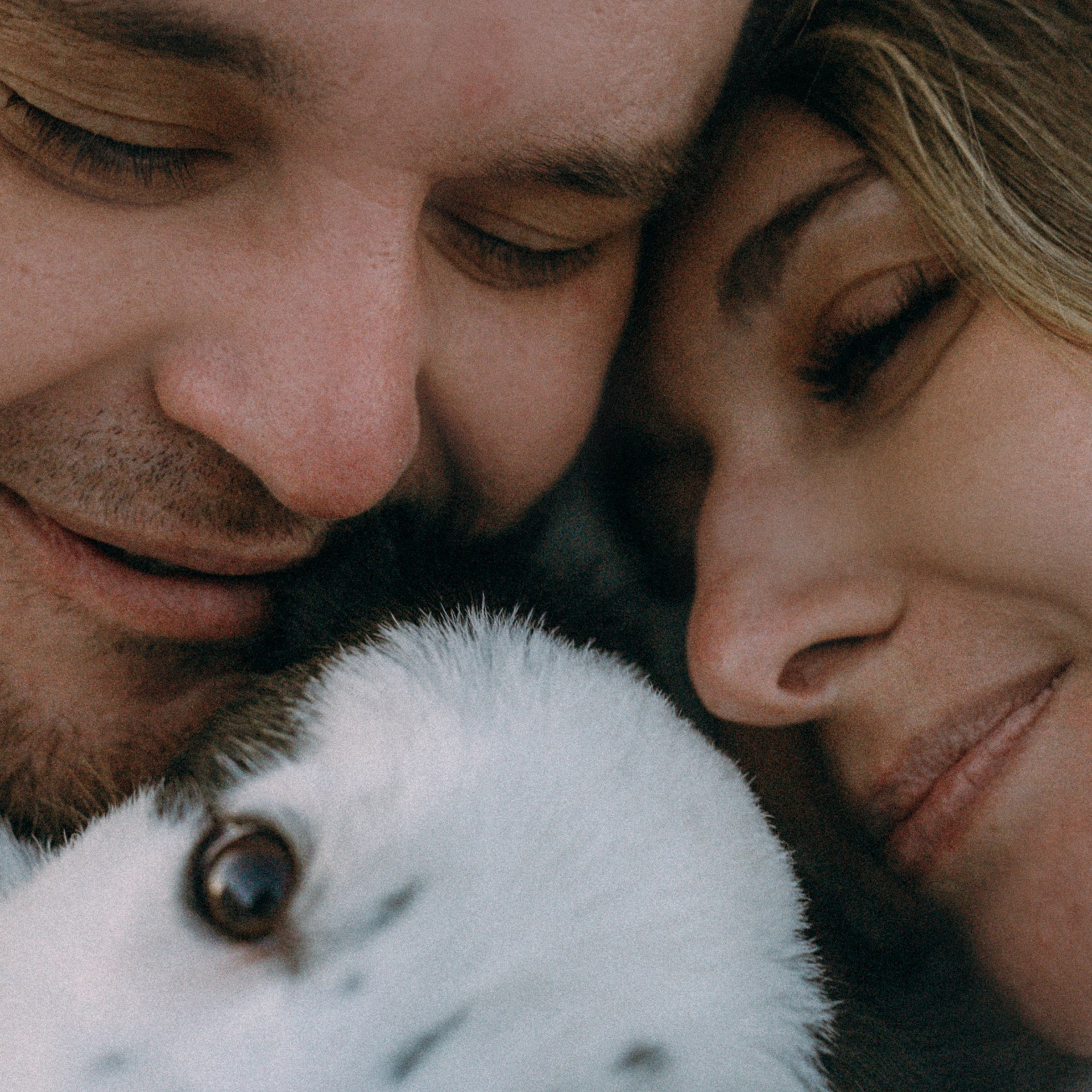 Отзывы. Фотограф анималист в Москве и Санкт-Петербурге Свиридова Анна