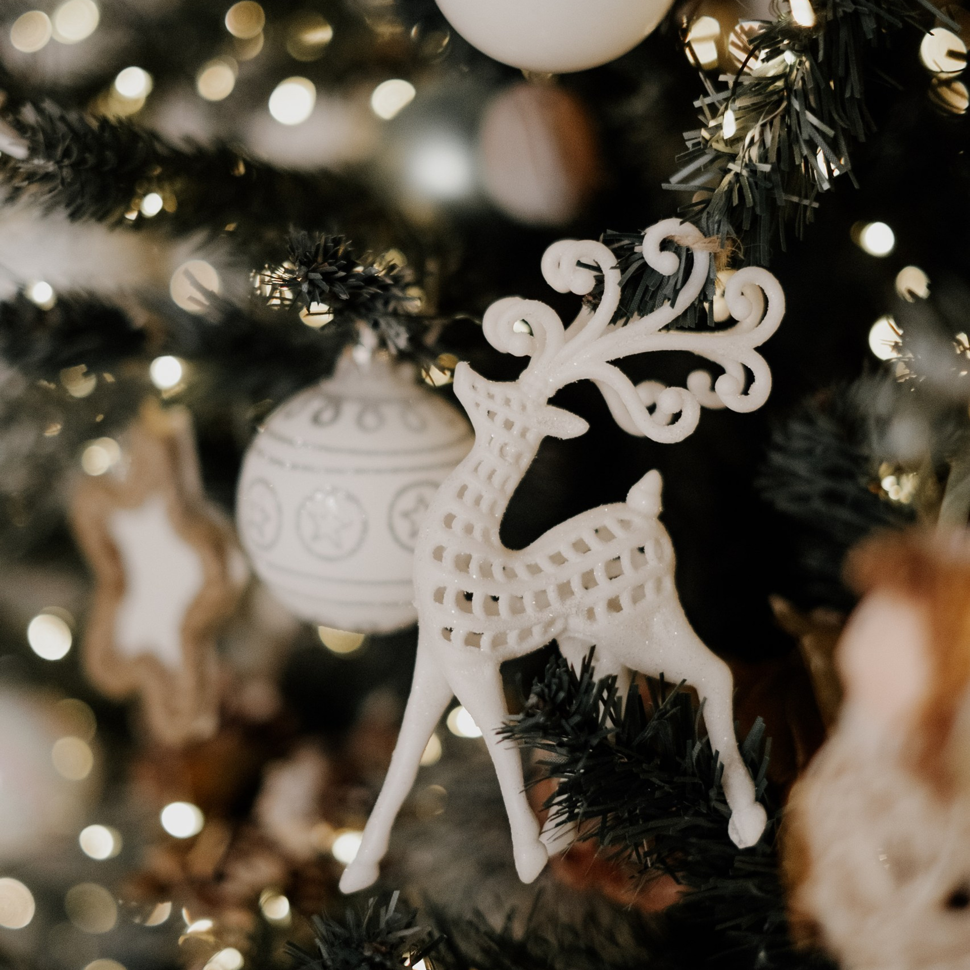 Отзывы. Фотограф Челябинск Юлия Ермакова