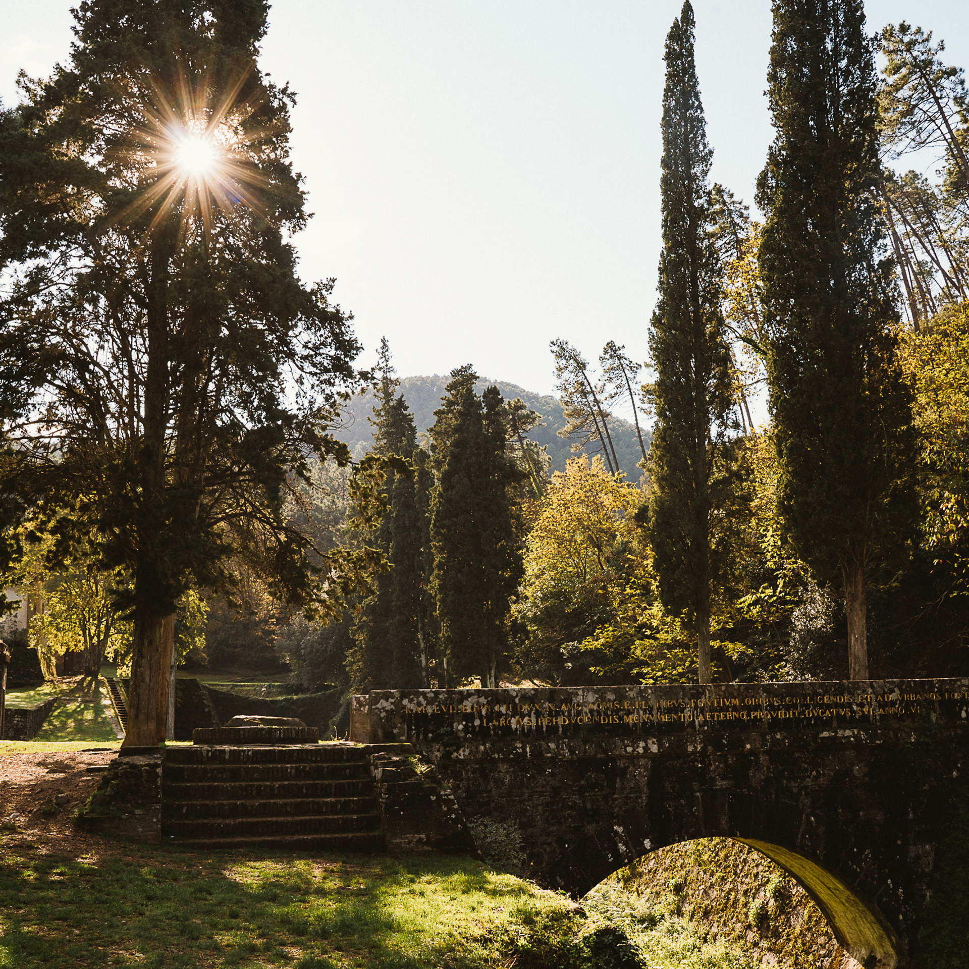 Recensioni dei Clienti -Opinioni su Irina Zinovyeva Fotografa a Lucca. Family Lifestyle Photographer in Lucca, Italia