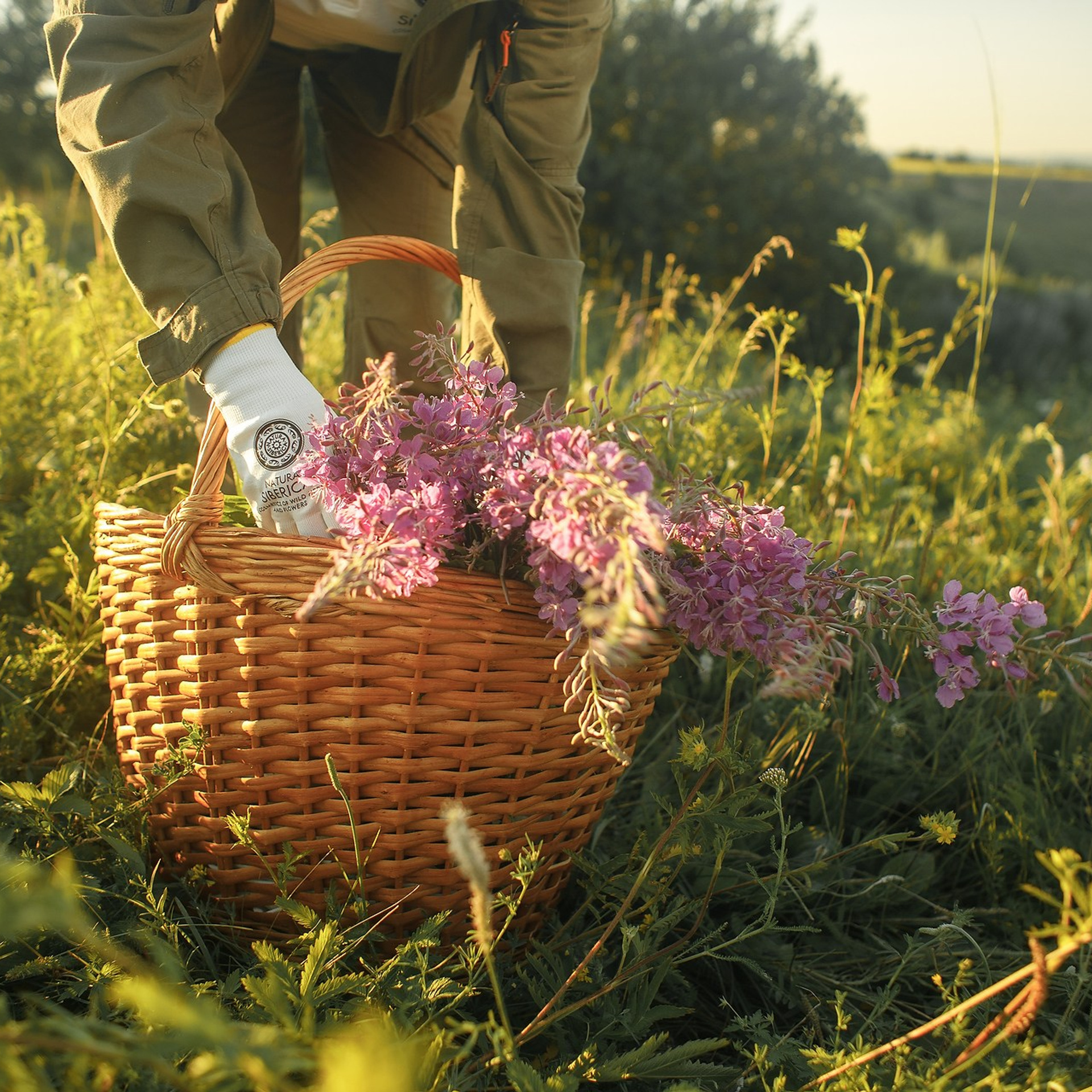 Легкая промышленность